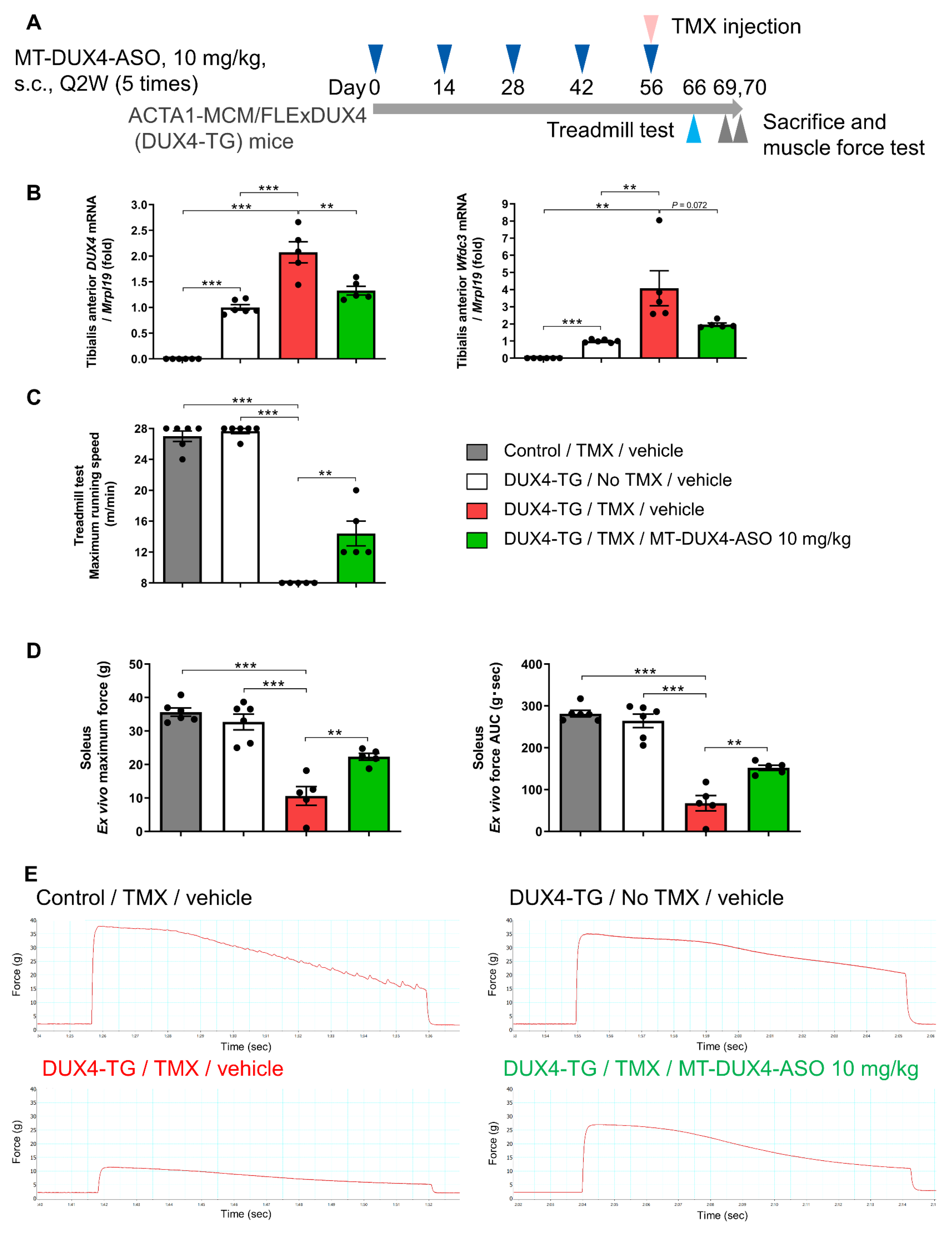 Biomedicines 11 02339 g006 Biomedicines 11 02339 g006