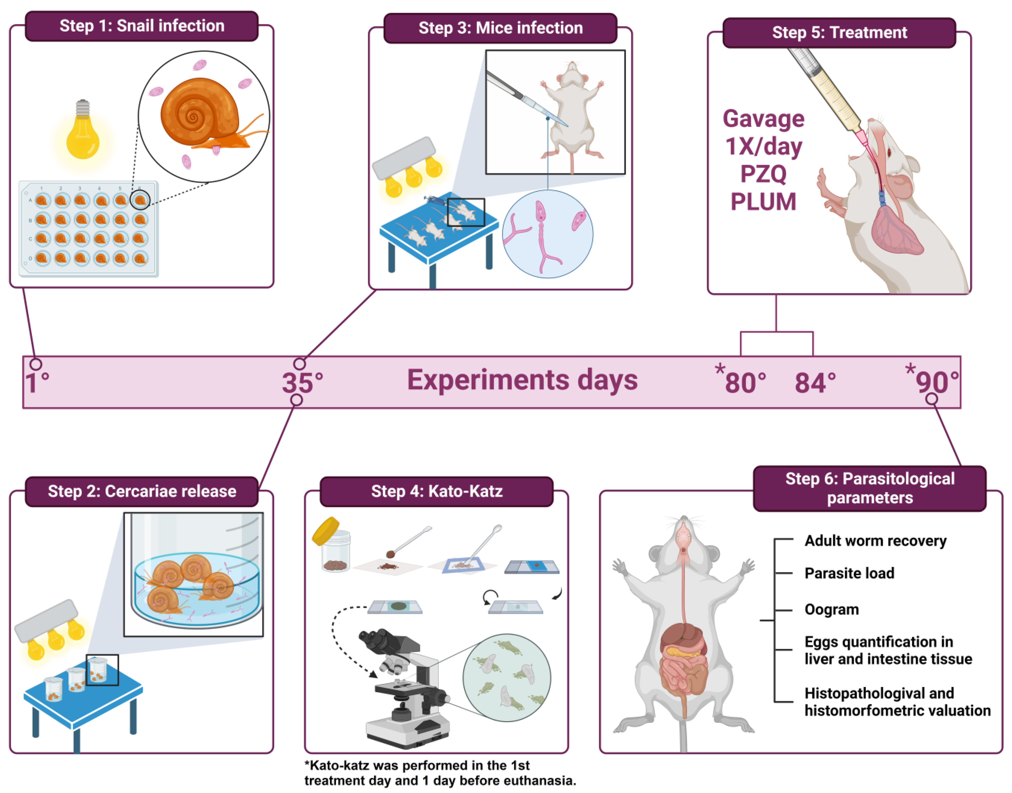 Biomedicines 11 02340 g002
