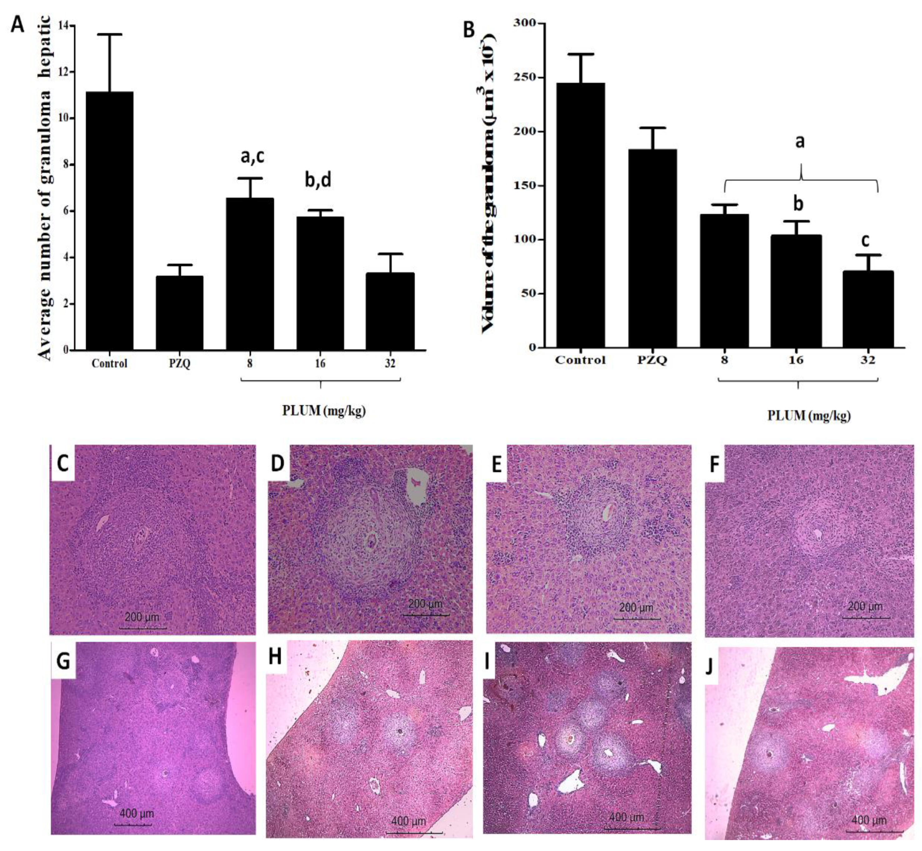 Biomedicines 11 02340 g005