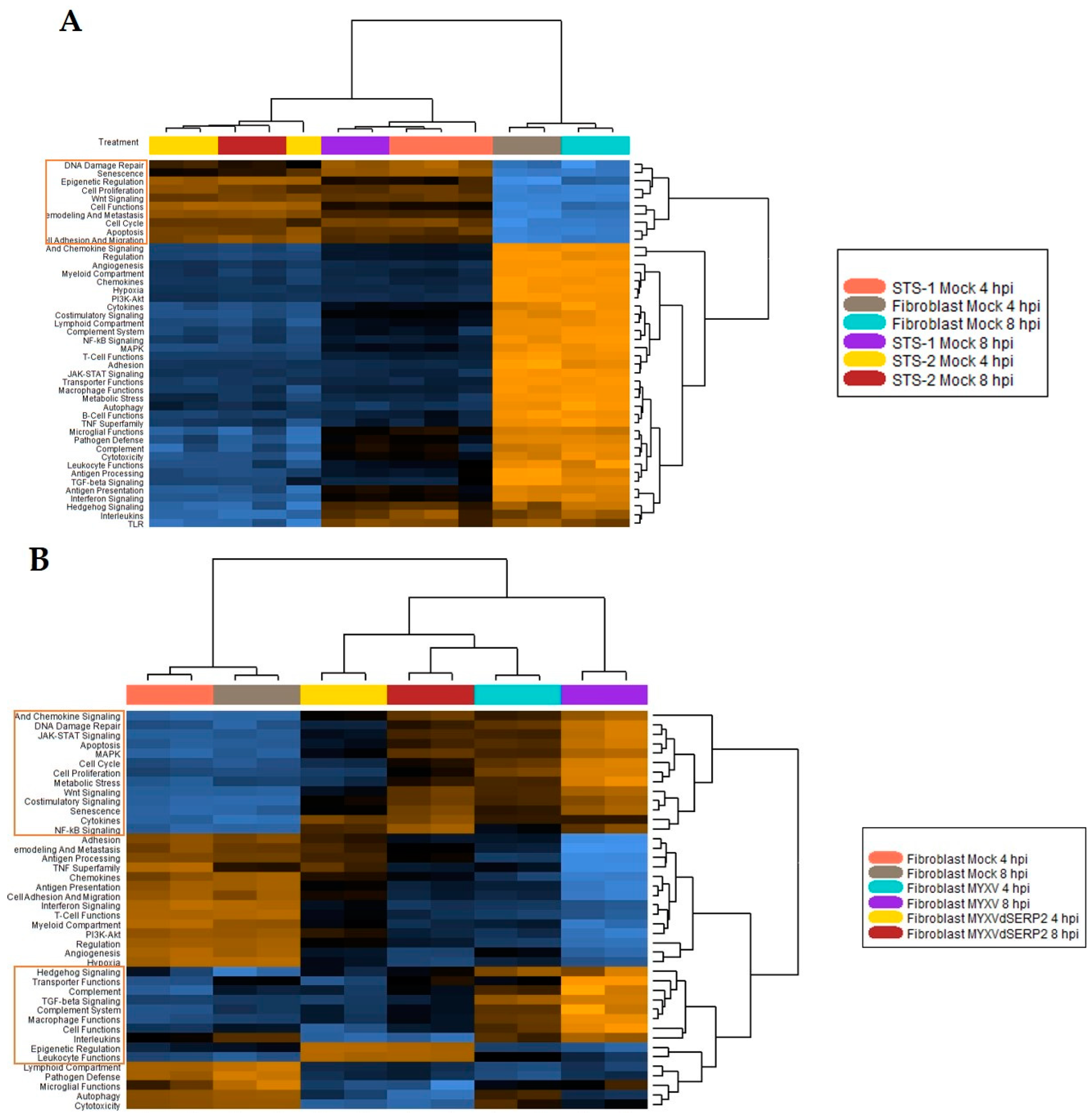 Biomedicines 11 02346 g005a Biomedicines 11 02346 g005a