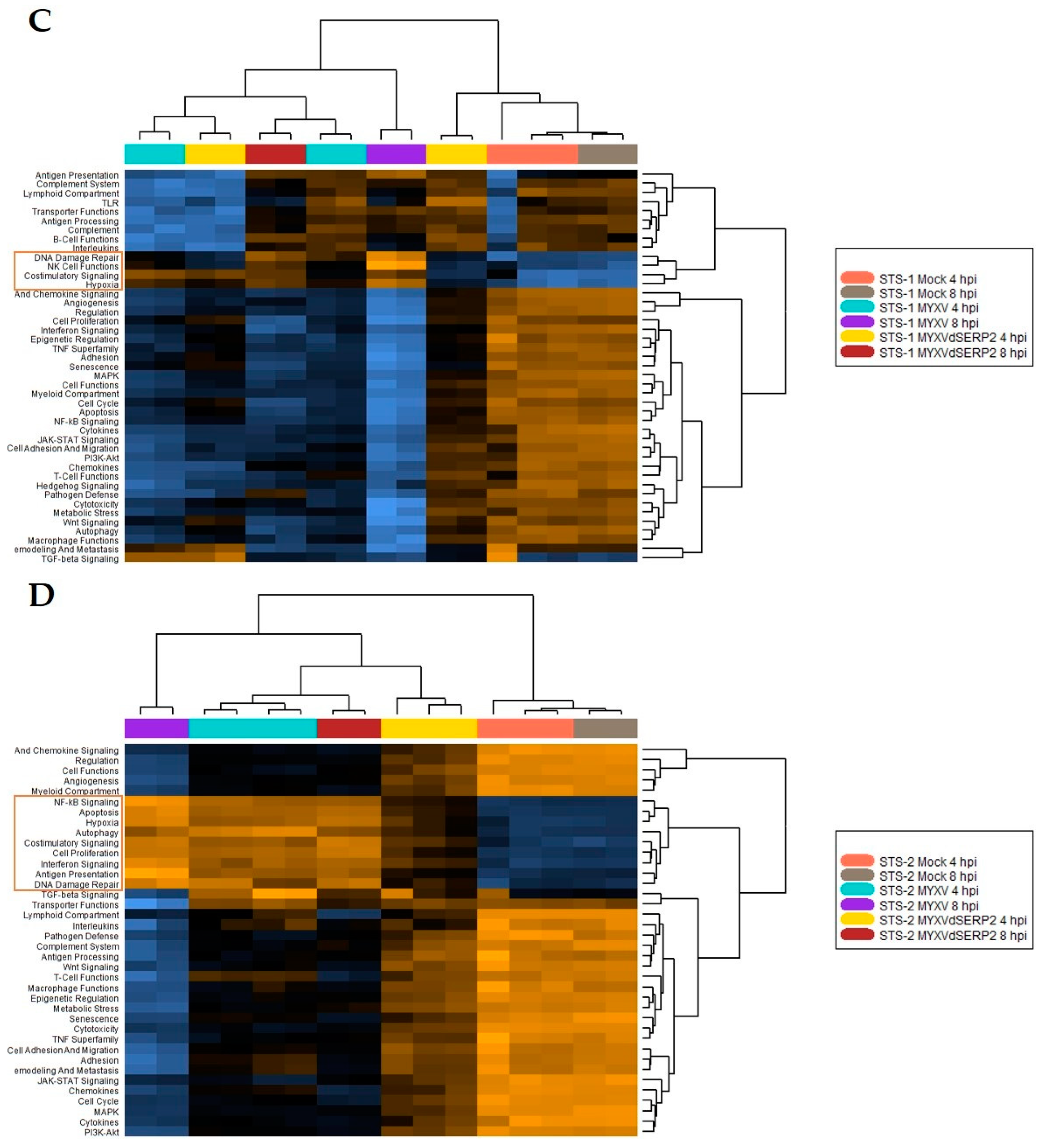Biomedicines 11 02346 g005b Biomedicines 11 02346 g005b