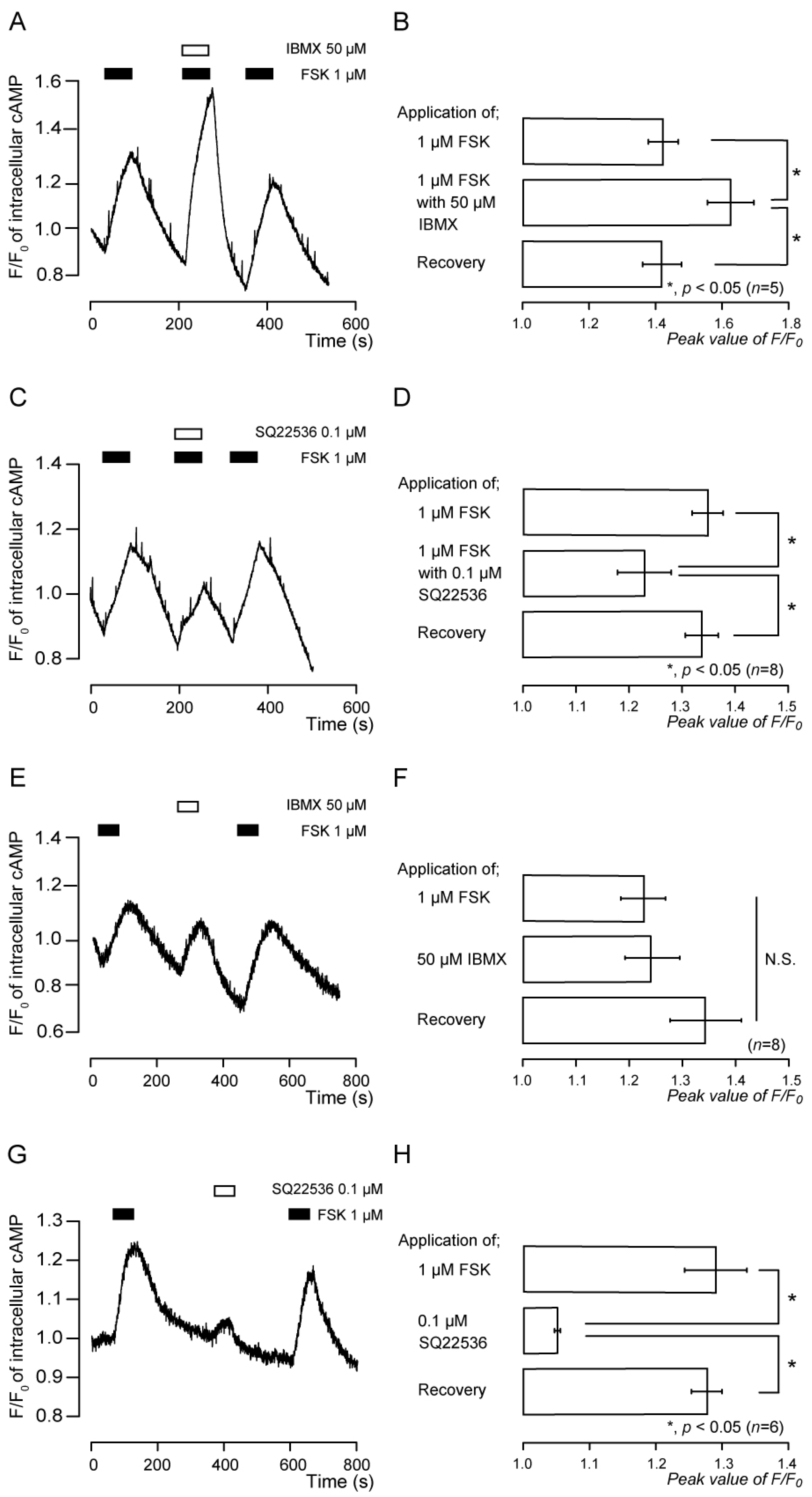 Biomedicines 11 02347 g002 Biomedicines 11 02347 g002