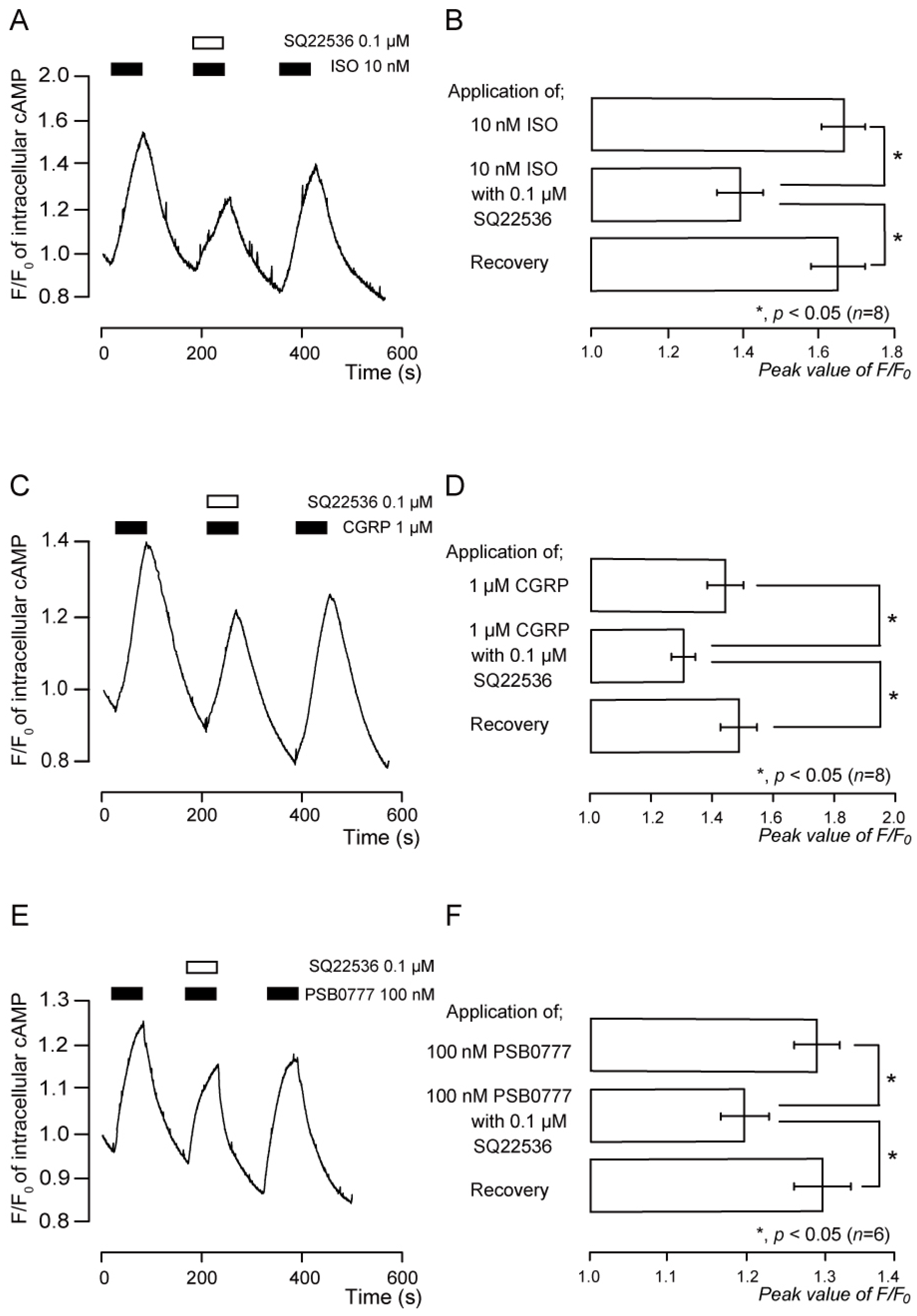 Biomedicines 11 02347 g004 Biomedicines 11 02347 g004