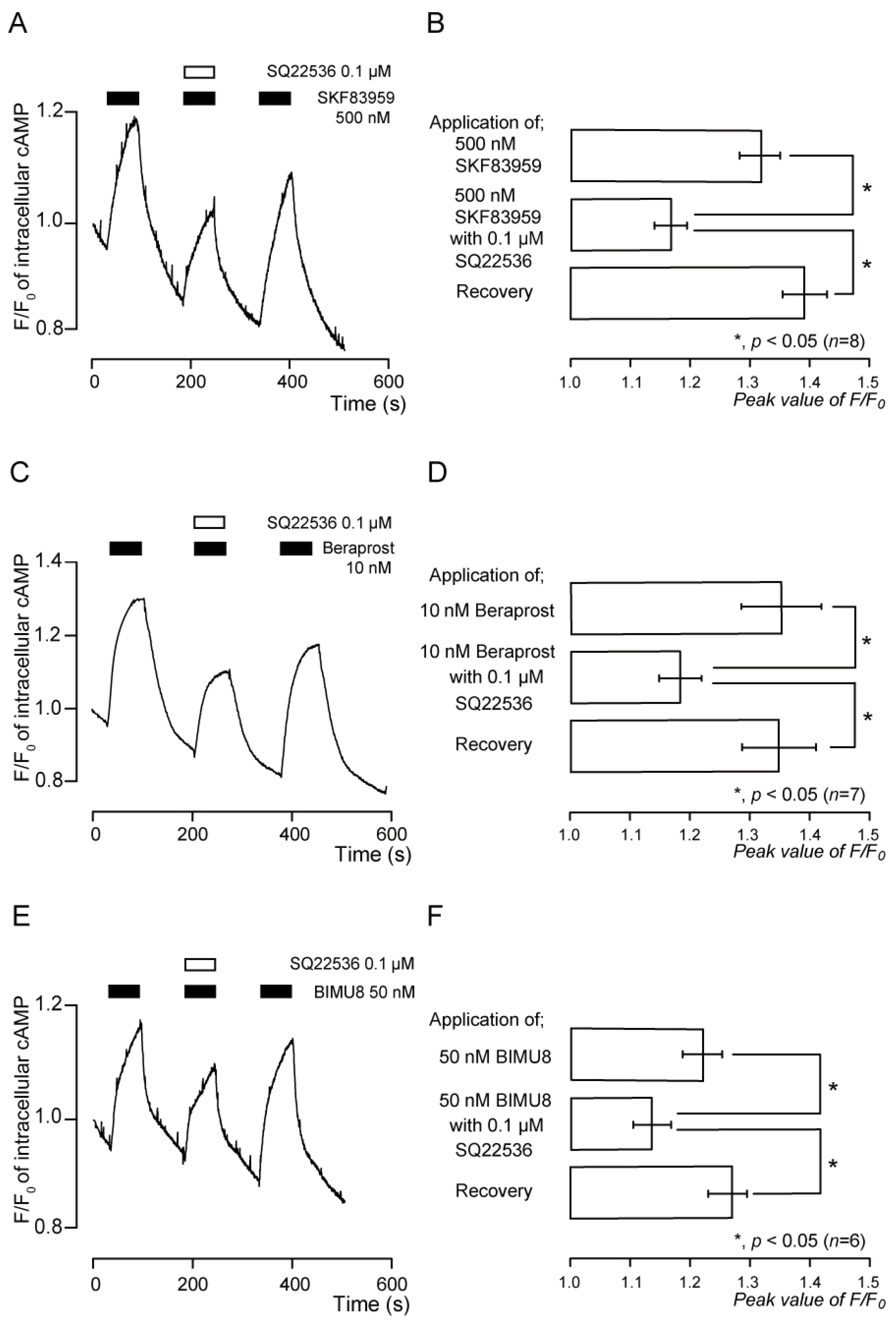 Biomedicines 11 02347 g005 Biomedicines 11 02347 g005