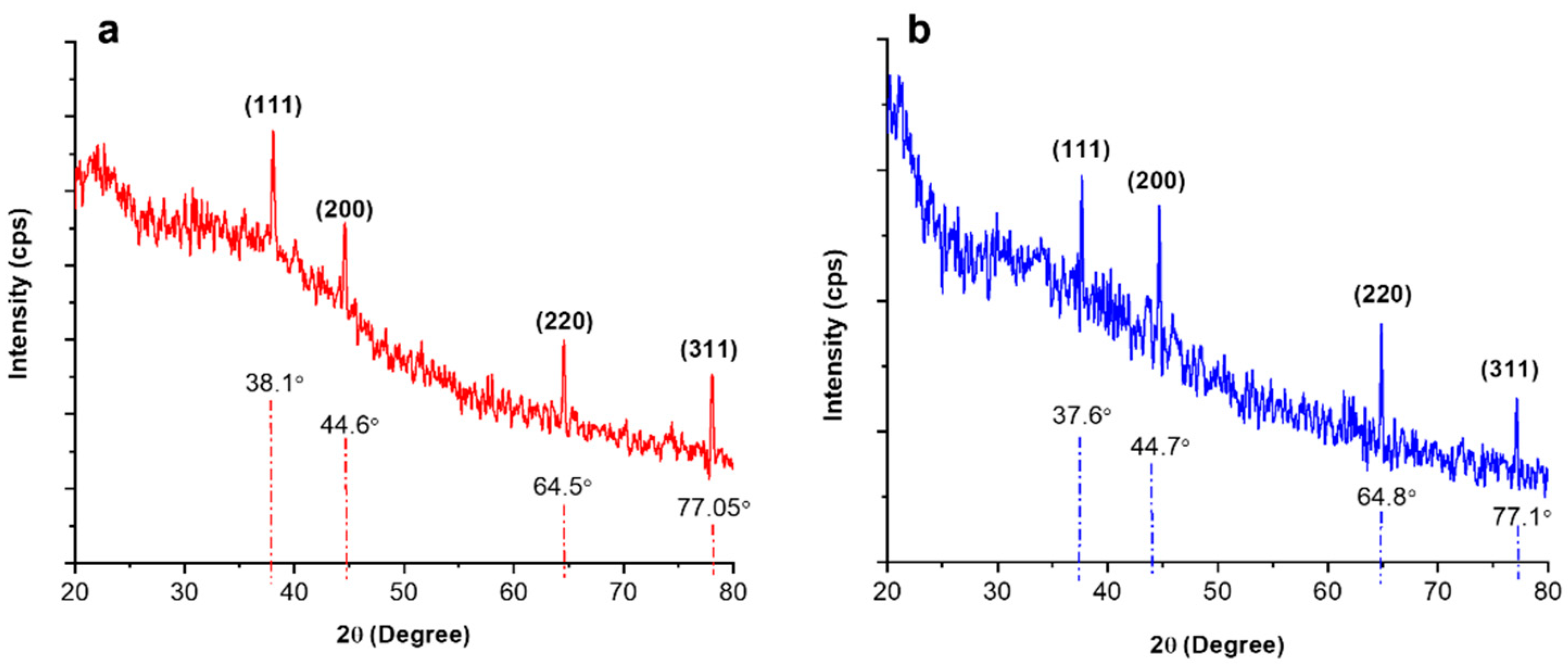 Biomedicines 11 02349 g002 Biomedicines 11 02349 g002