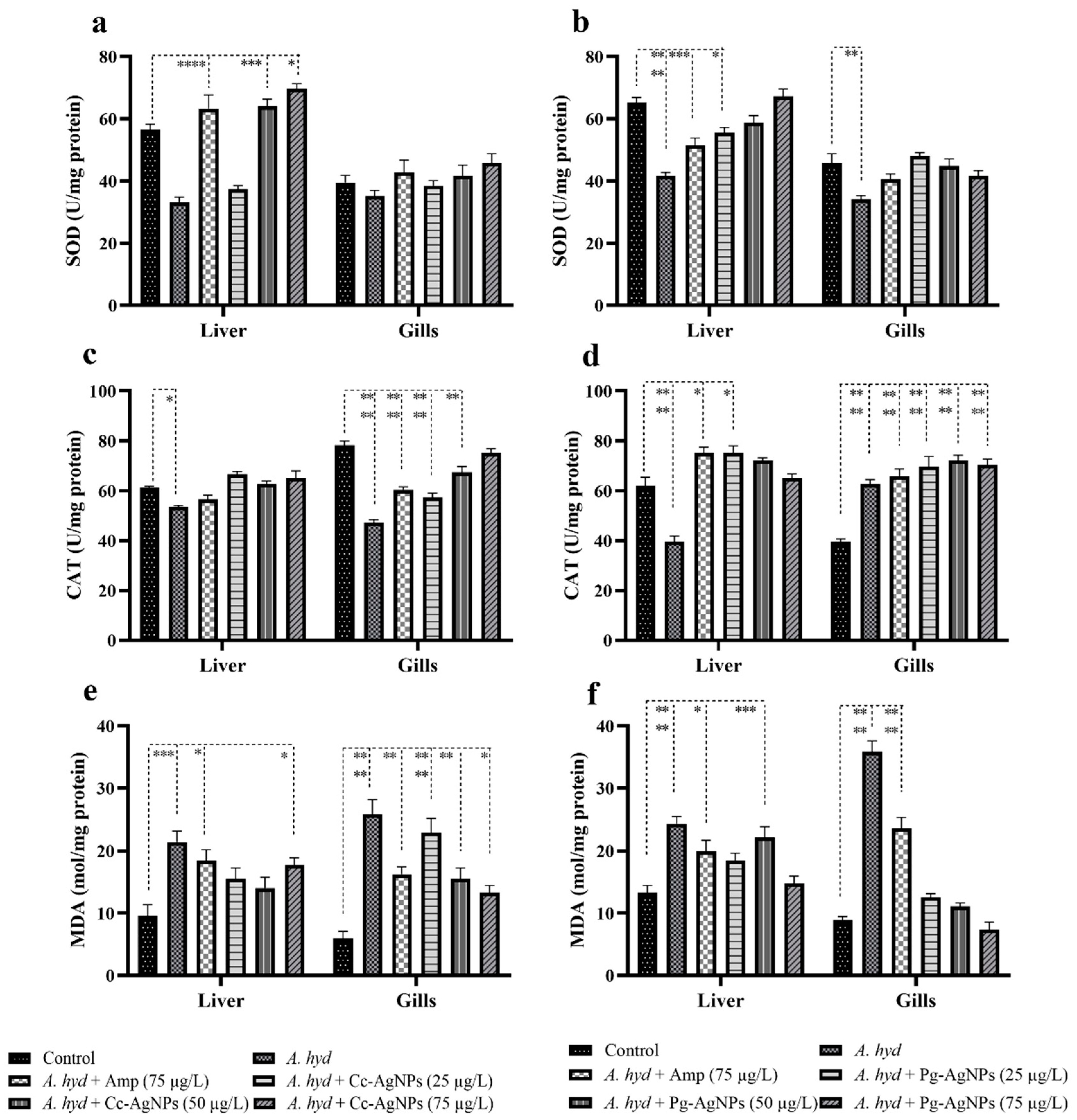 Biomedicines 11 02349 g011 Biomedicines 11 02349 g011