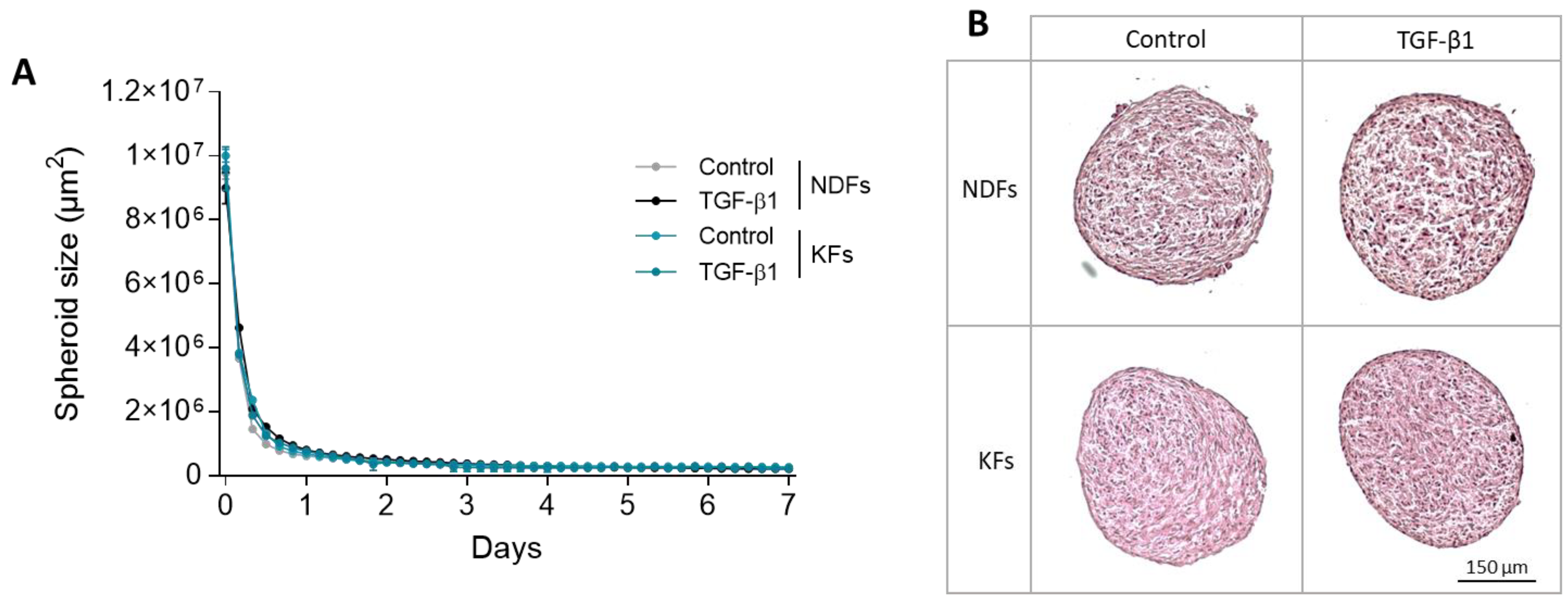 Biomedicines 11 02350 g001 Biomedicines 11 02350 g001