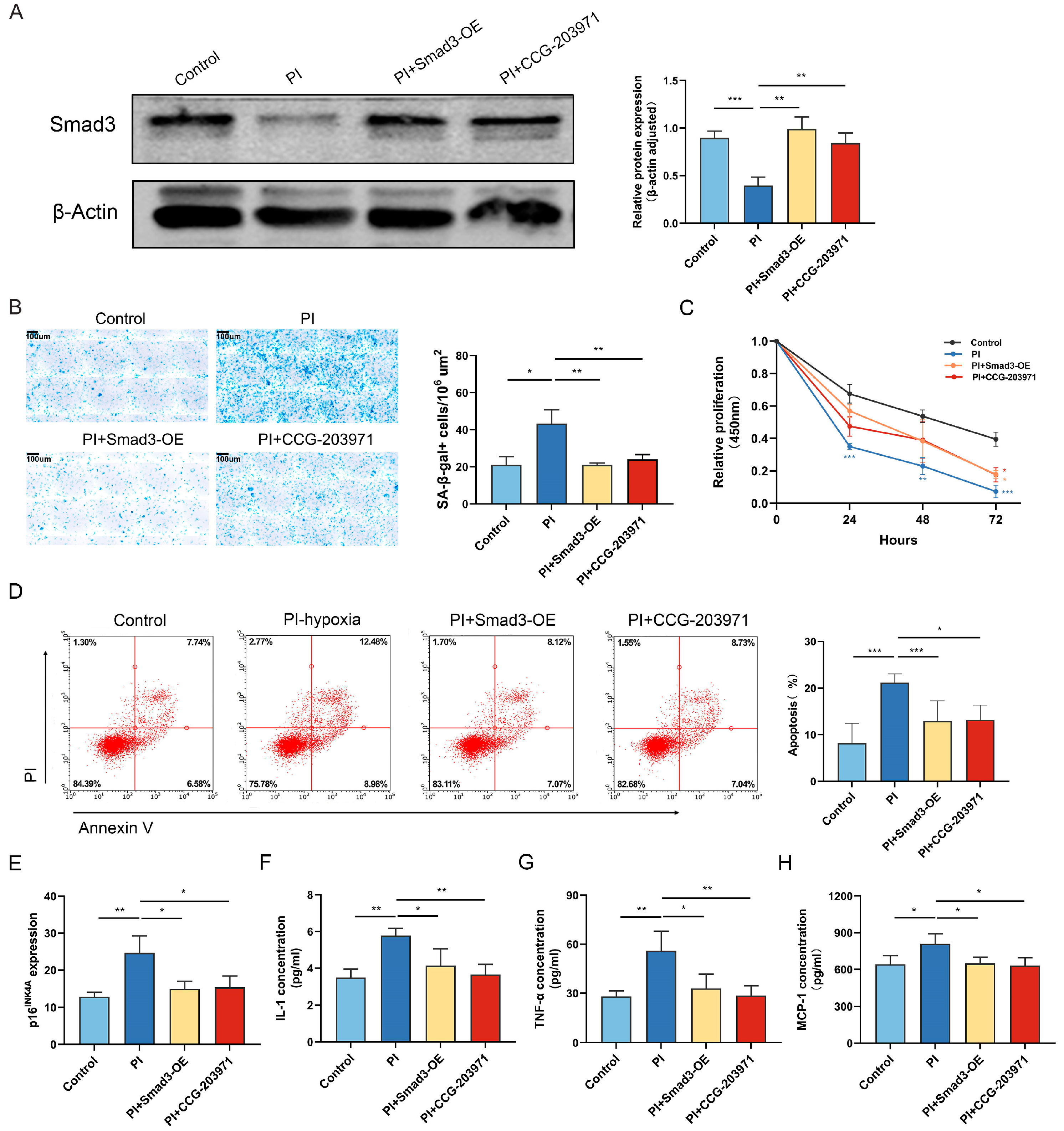 Biomedicines 11 02351 g001 Biomedicines 11 02351 g001