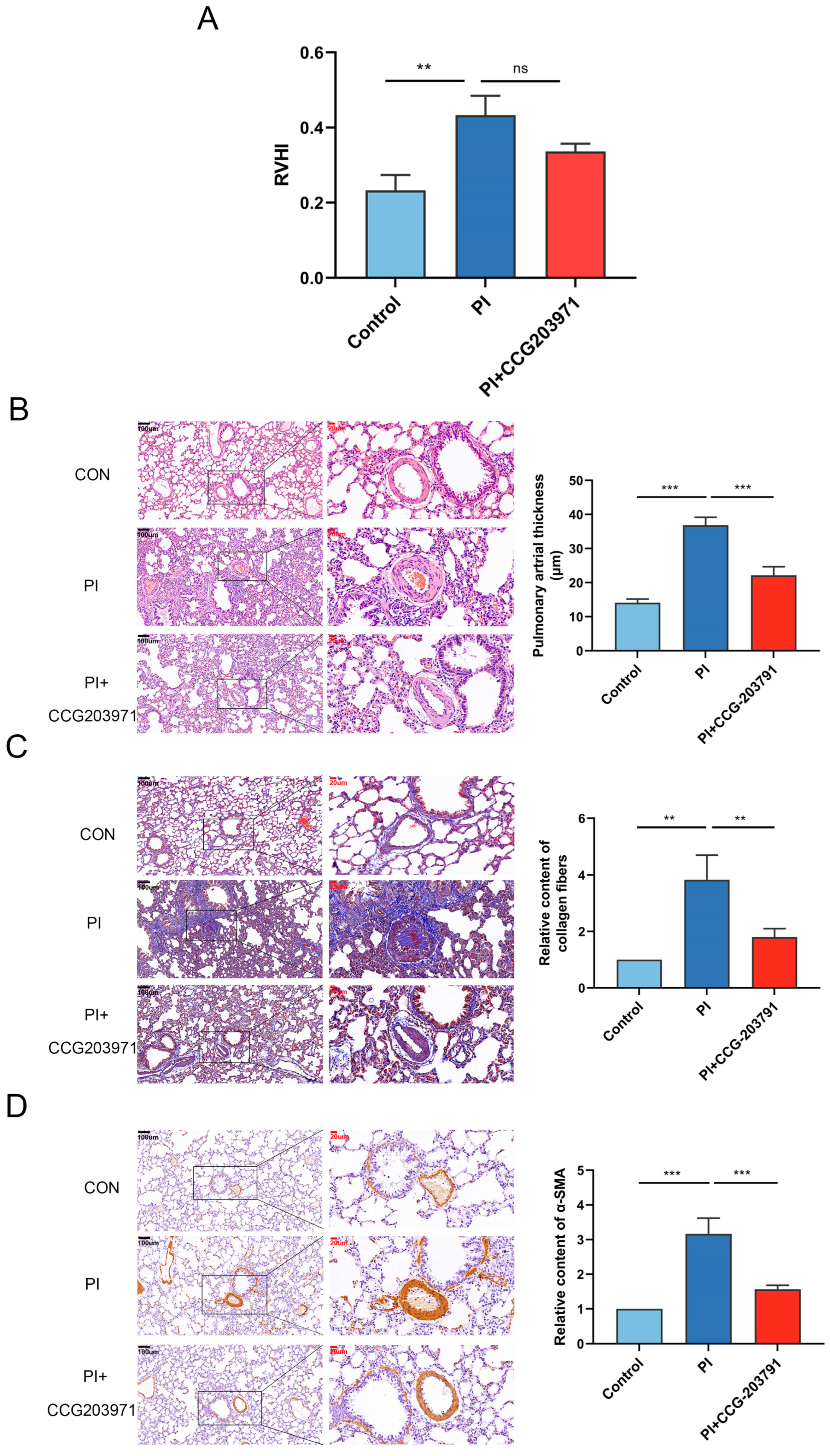 Biomedicines 11 02351 g004 Biomedicines 11 02351 g004