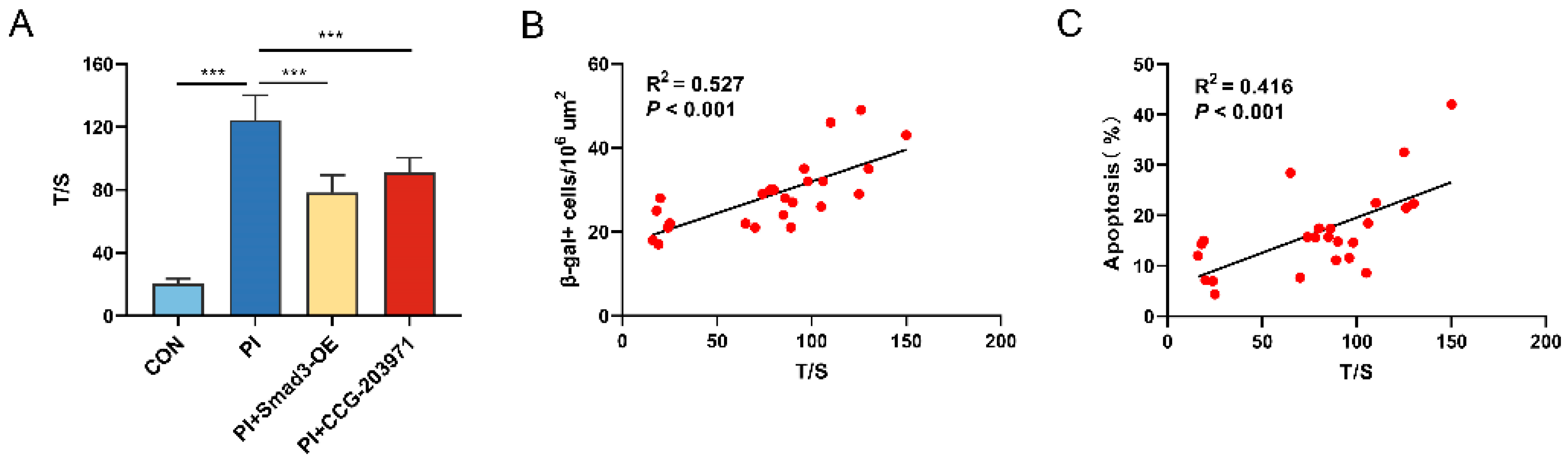 Biomedicines 11 02351 g007 Biomedicines 11 02351 g007
