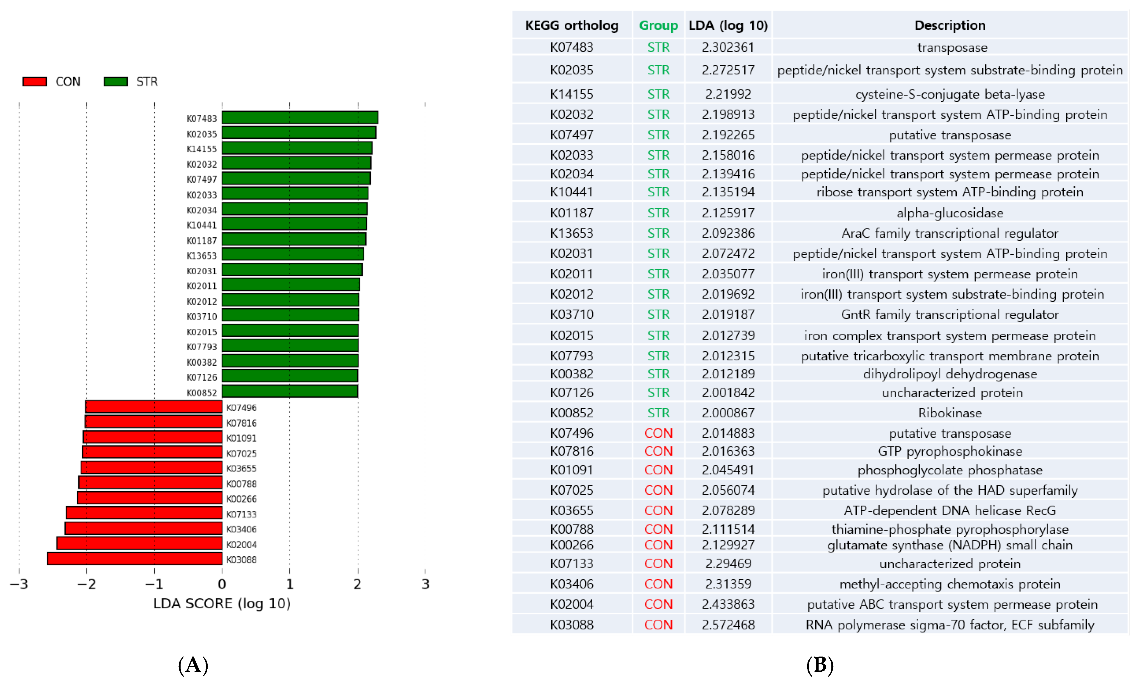 Biomedicines 11 02352 g004 Biomedicines 11 02352 g004