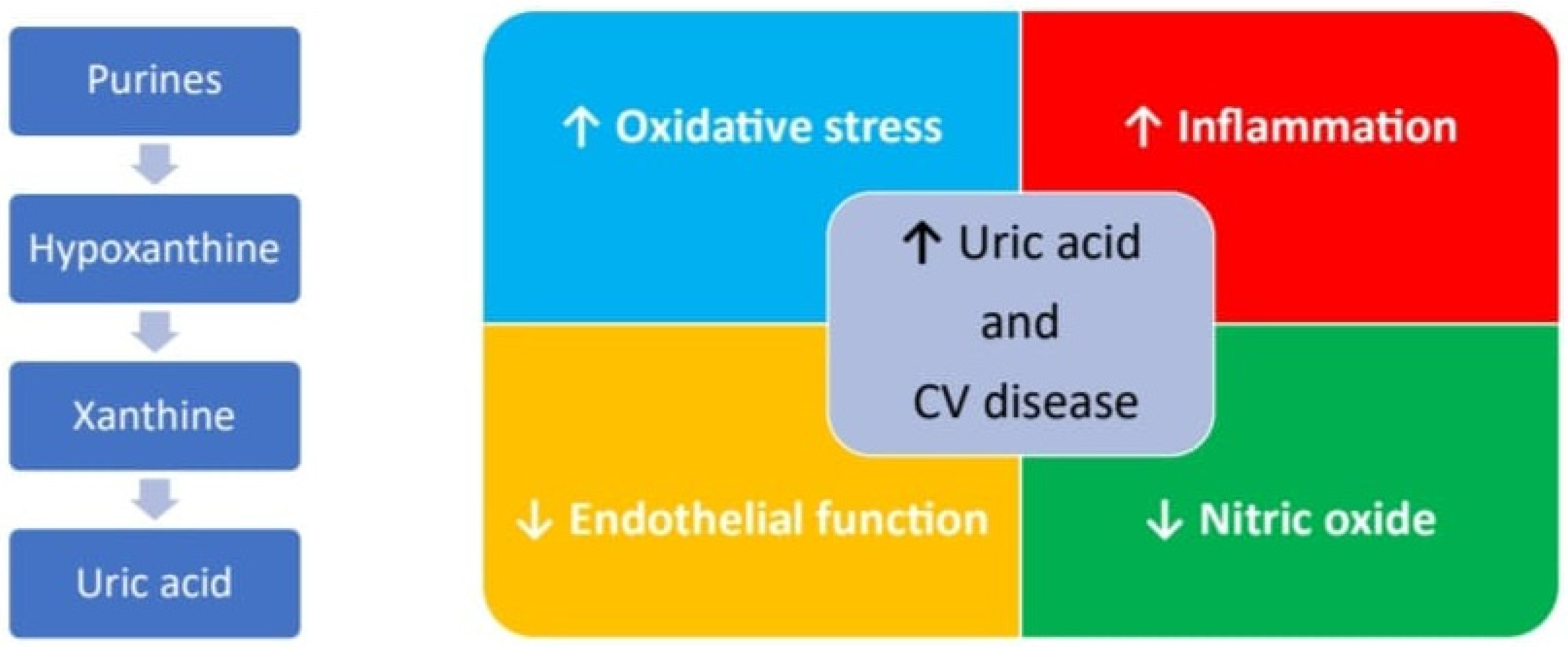 Biomedicines 11 02353 g002 Biomedicines 11 02353 g002