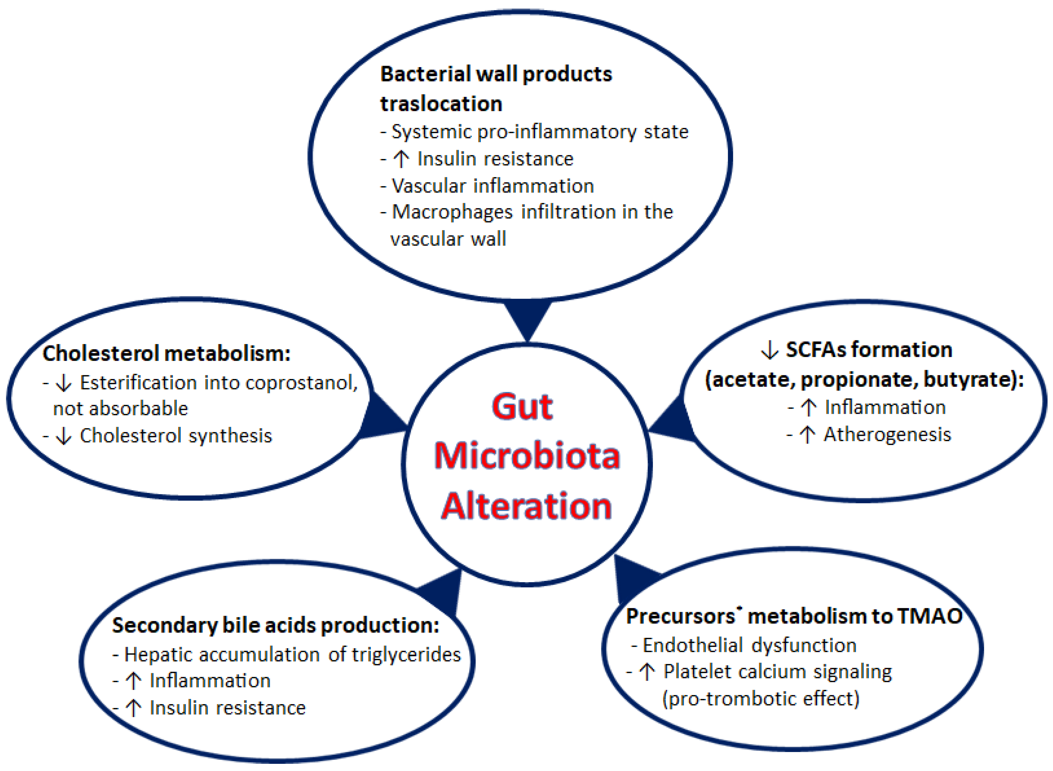 Biomedicines 11 02353 g004 Biomedicines 11 02353 g004