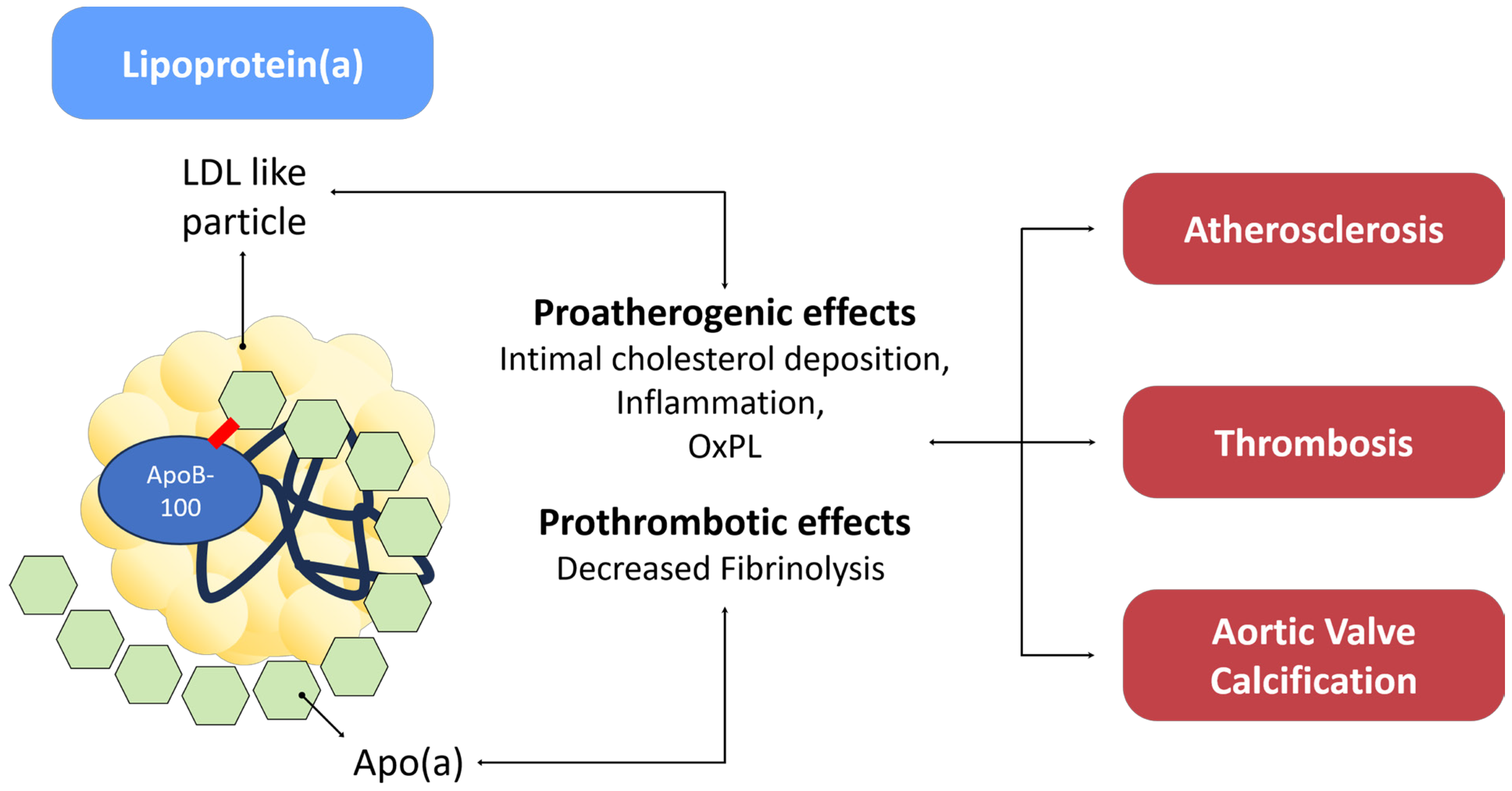 Biomedicines 11 02353 g005 Biomedicines 11 02353 g005