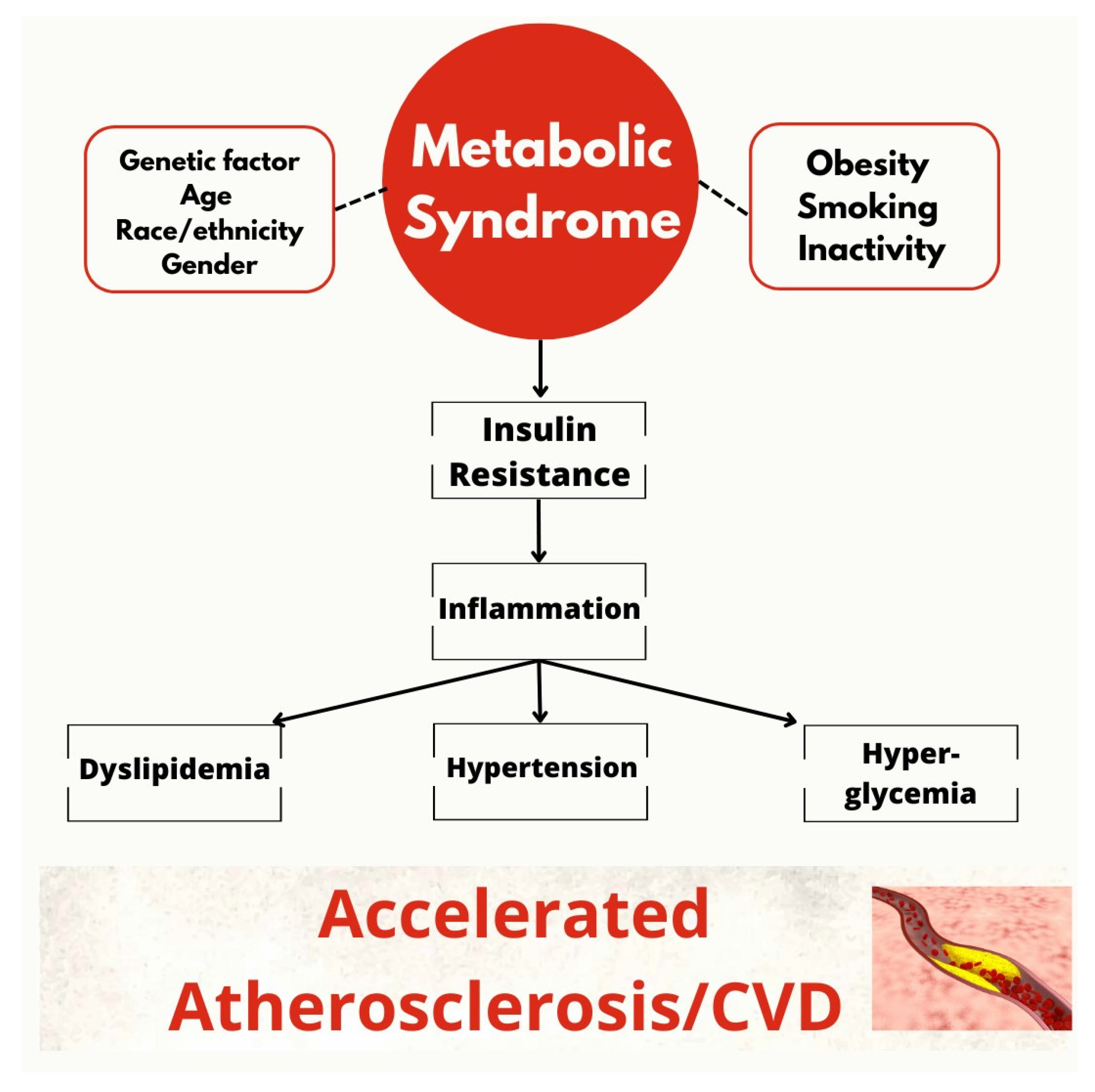 Biomedicines 11 02353 g006 Biomedicines 11 02353 g006
