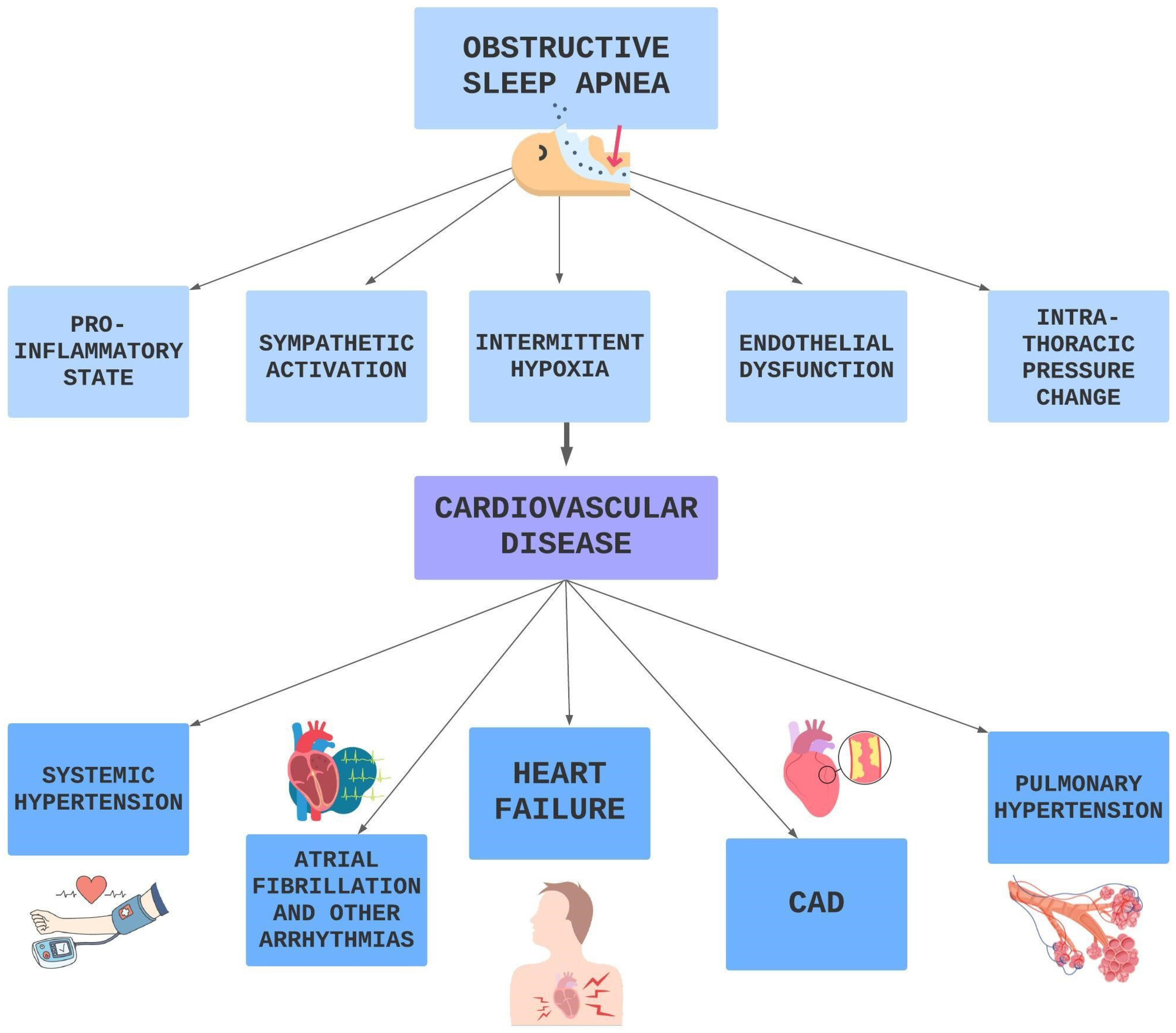 Biomedicines 11 02353 g007 Biomedicines 11 02353 g007