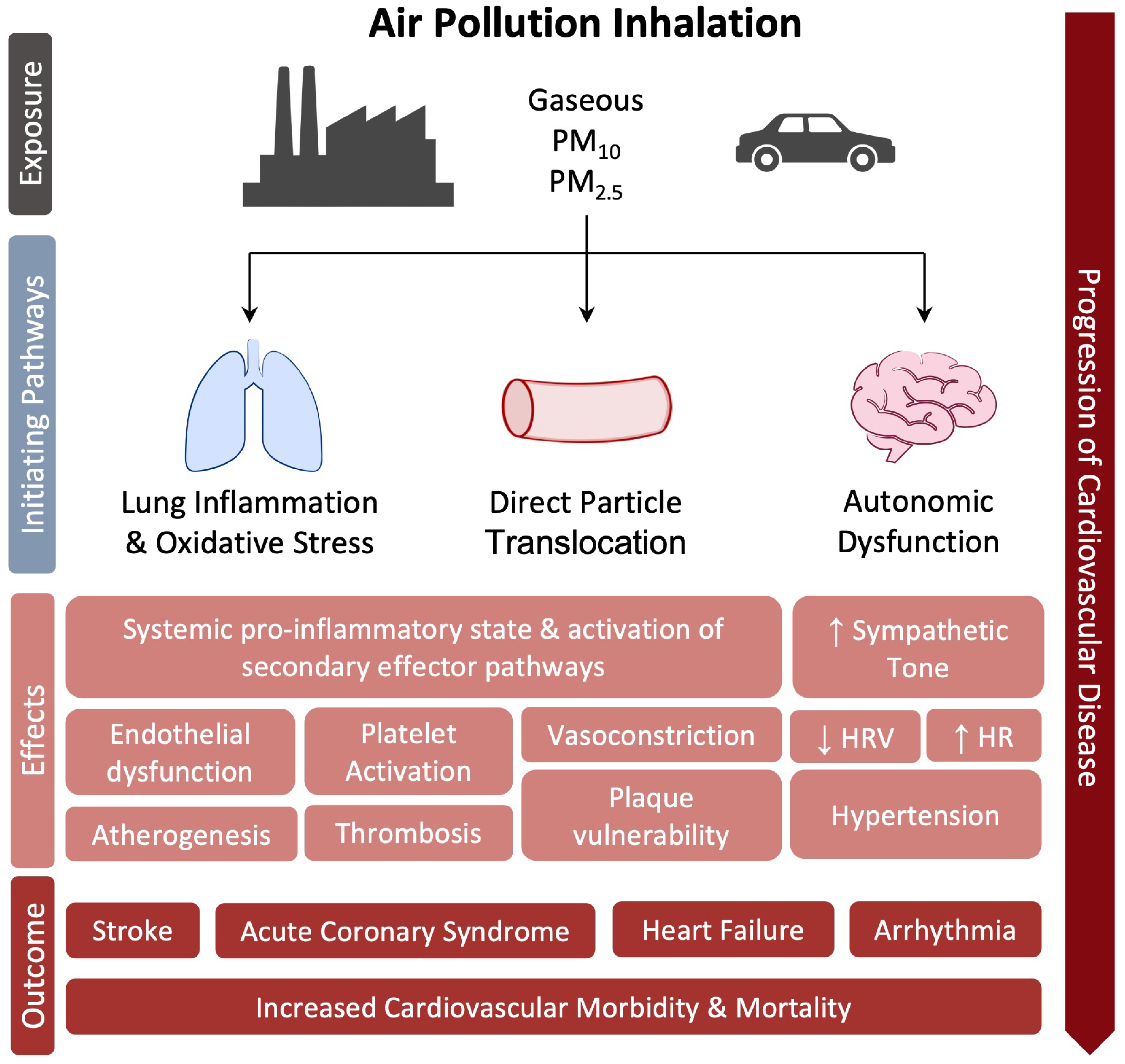 Biomedicines 11 02353 g008 Biomedicines 11 02353 g008