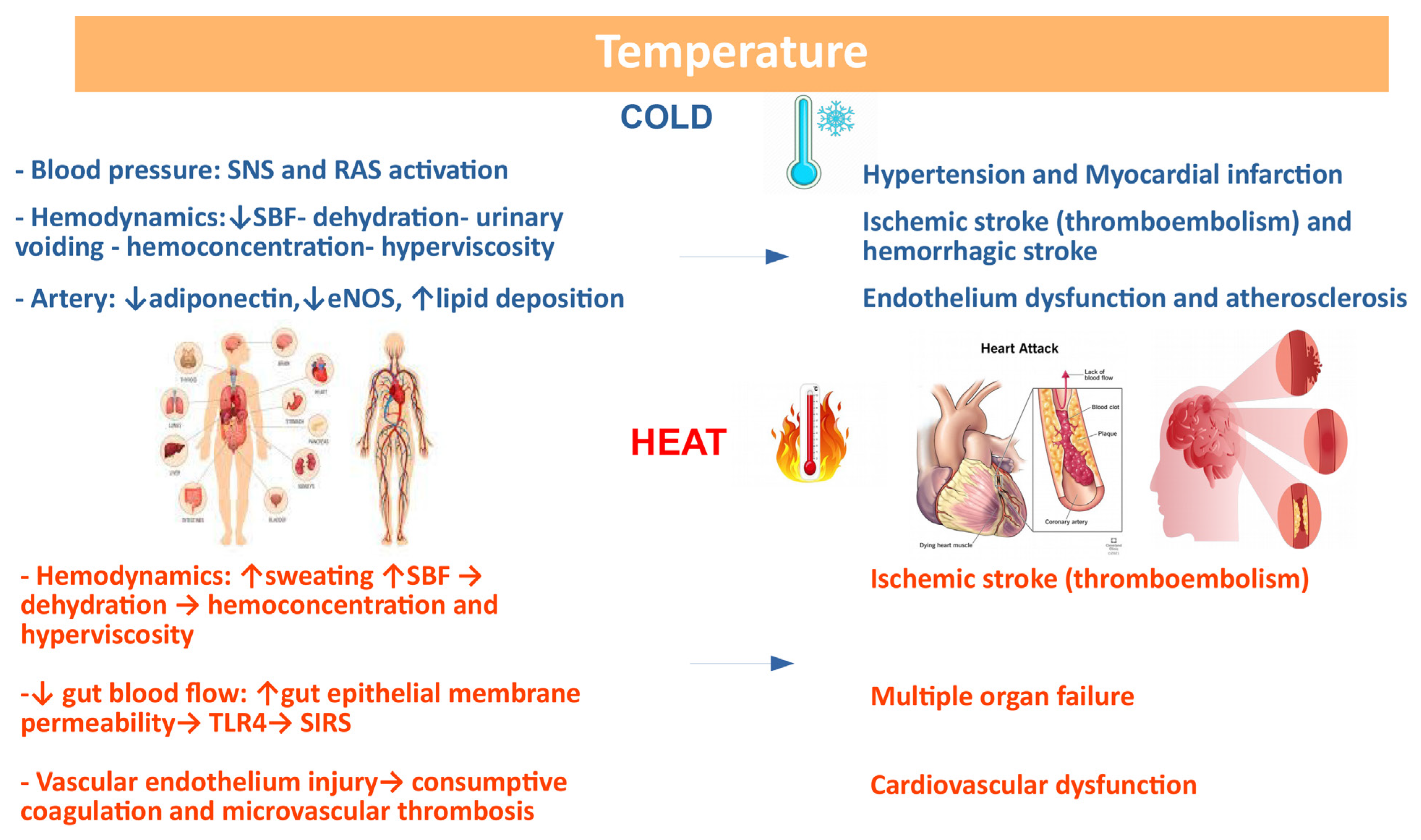 Biomedicines 11 02353 g009 Biomedicines 11 02353 g009