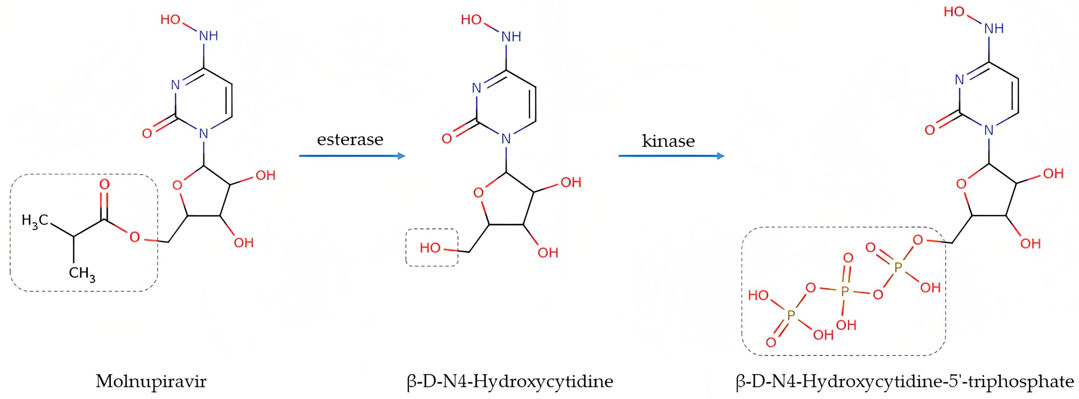 Biomedicines 11 02356 g001