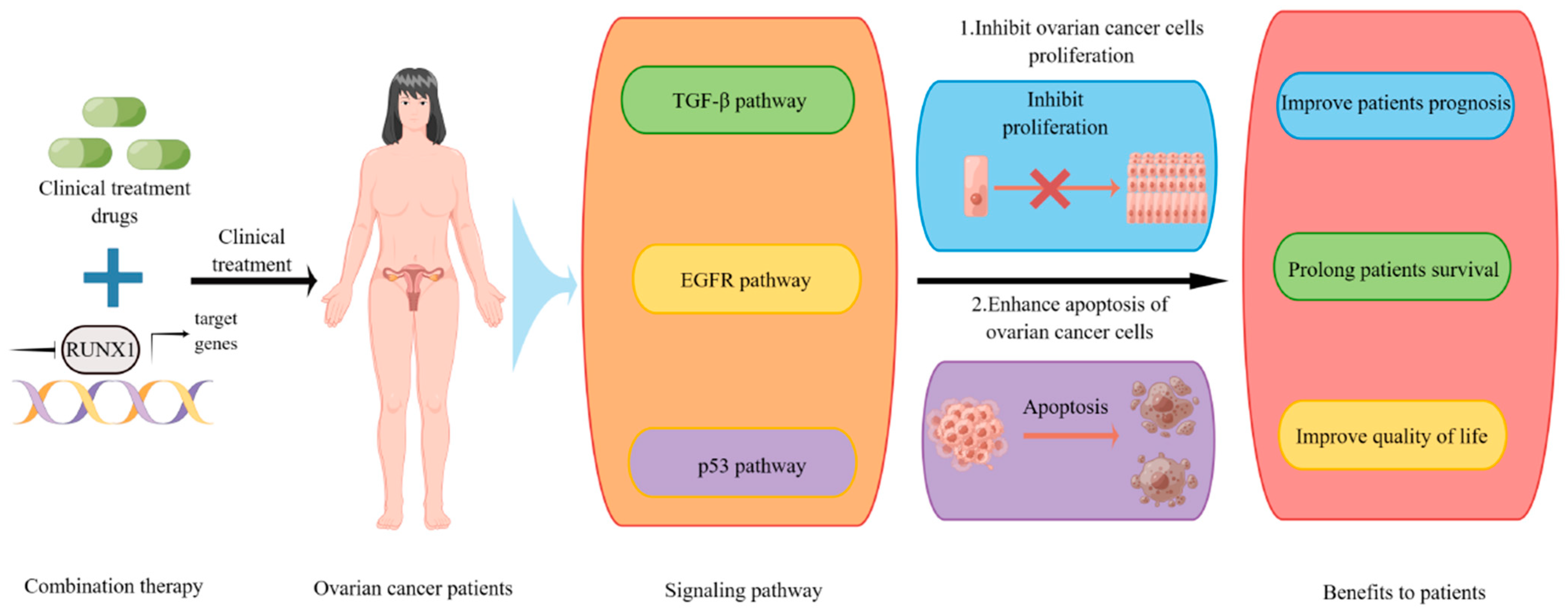 Biomedicines 11 02357 g003