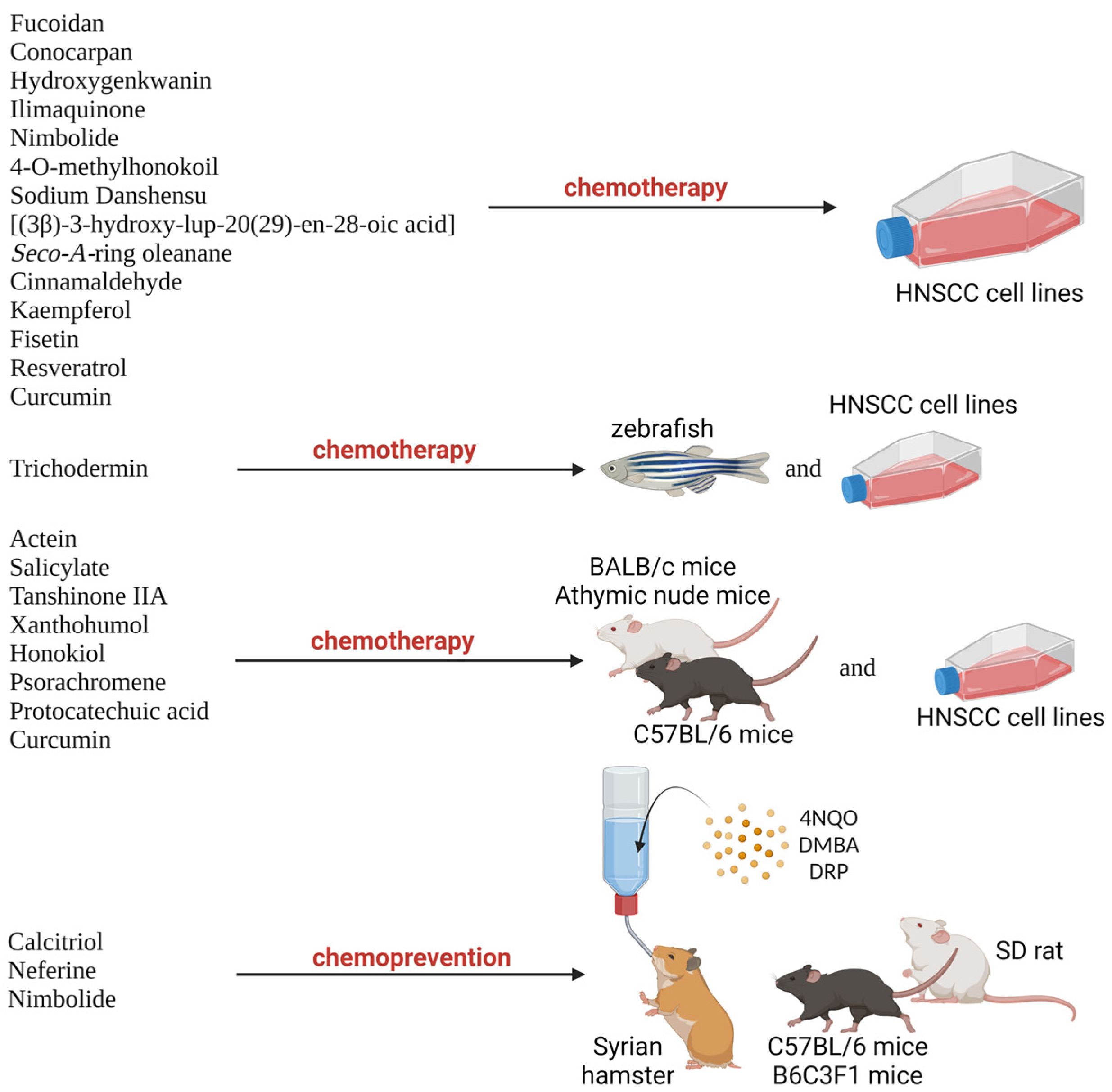 Biomedicines 11 02359 g001