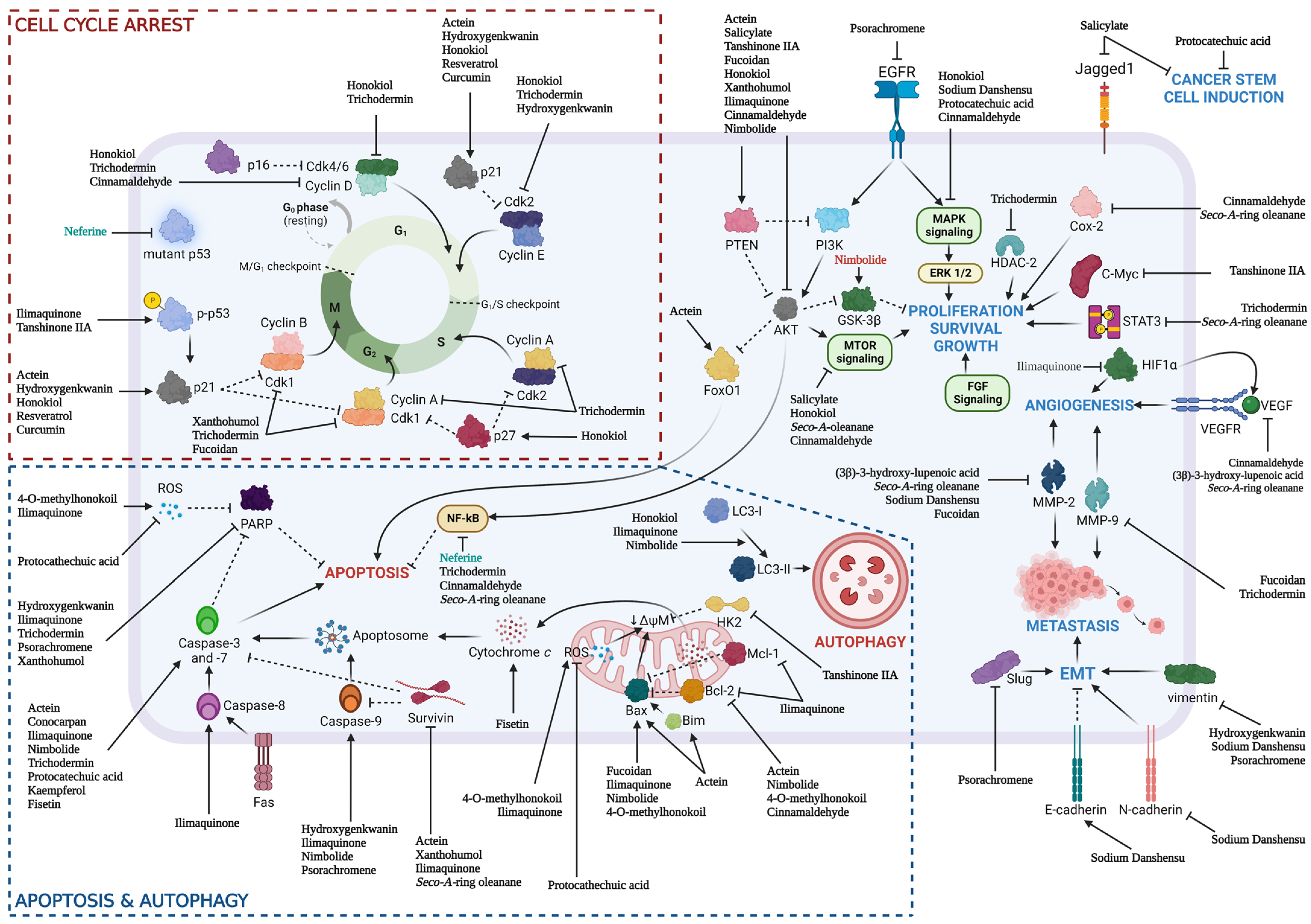 Biomedicines 11 02359 g002
