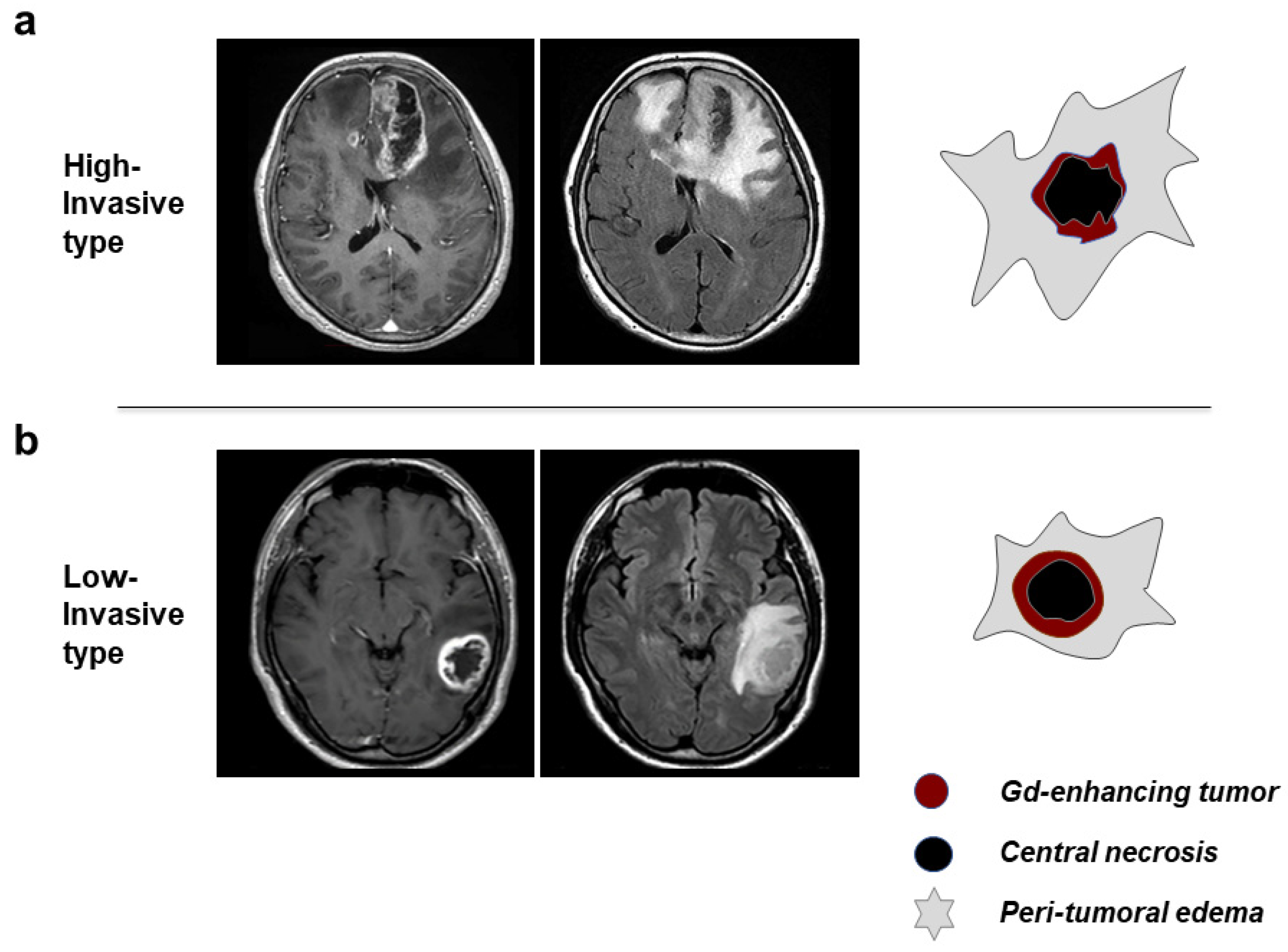 Biomedicines 11 02369 g001