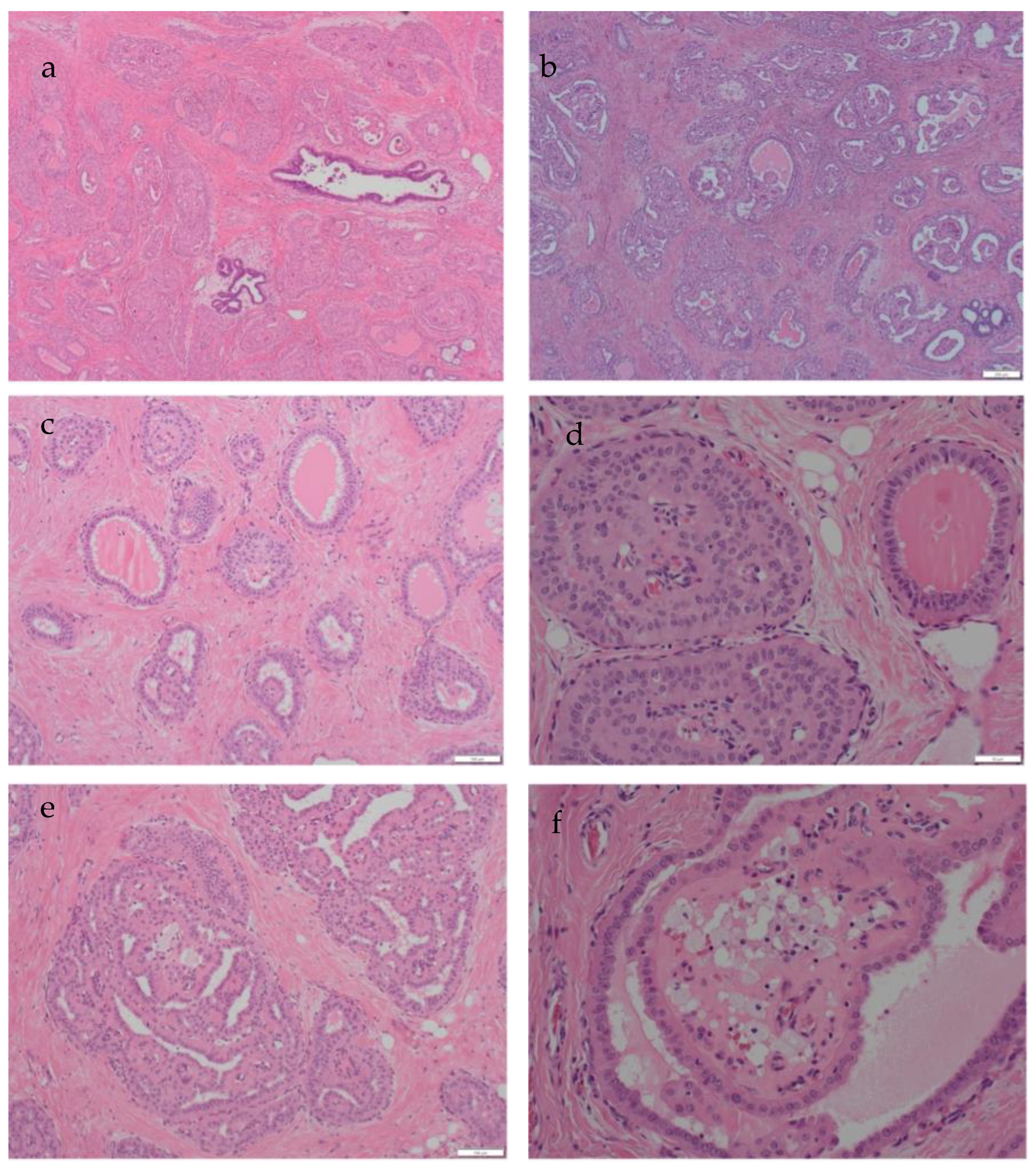 Biomedicines 11 02376 g002