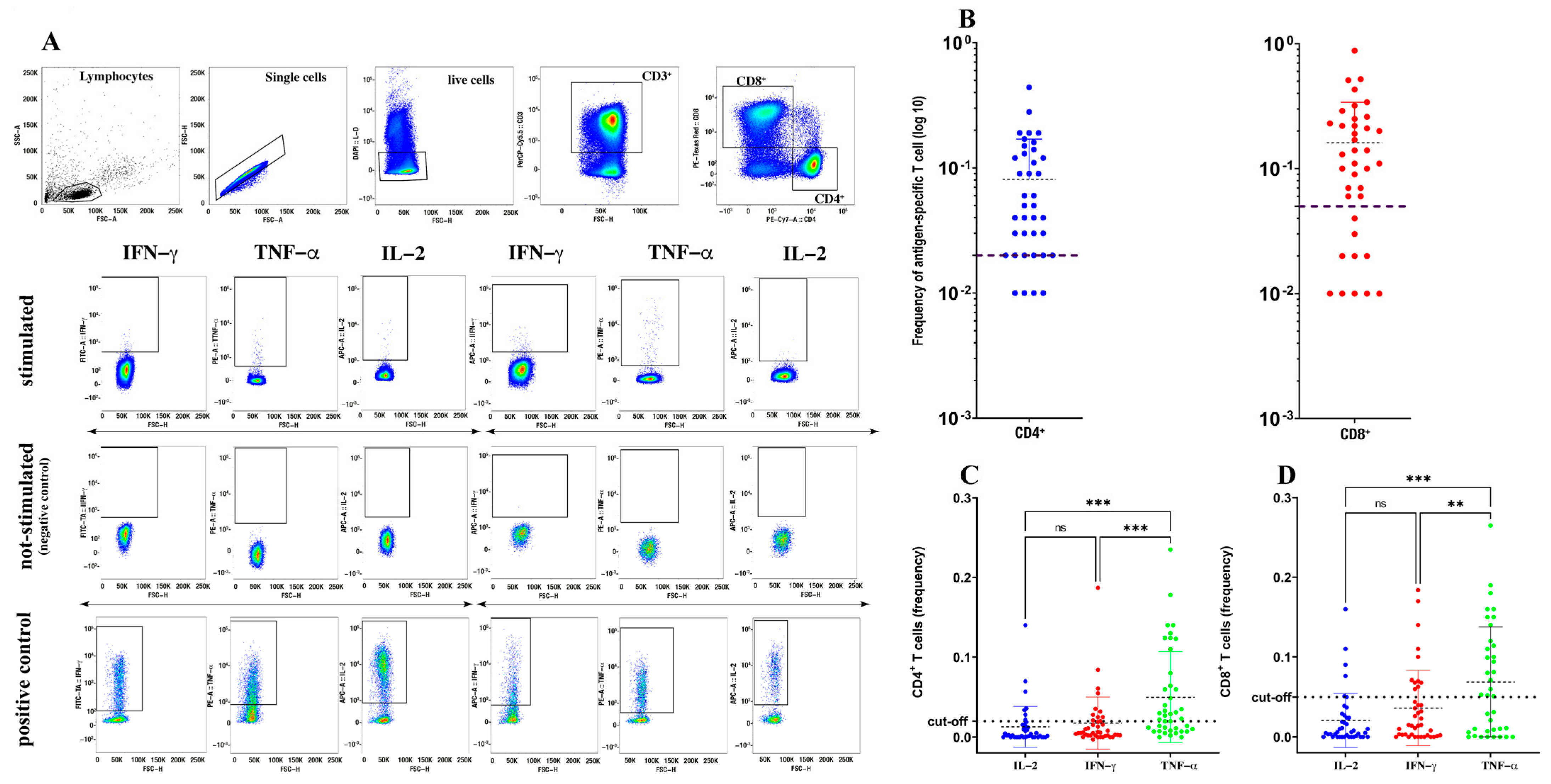 Biomedicines 11 02378 g001
