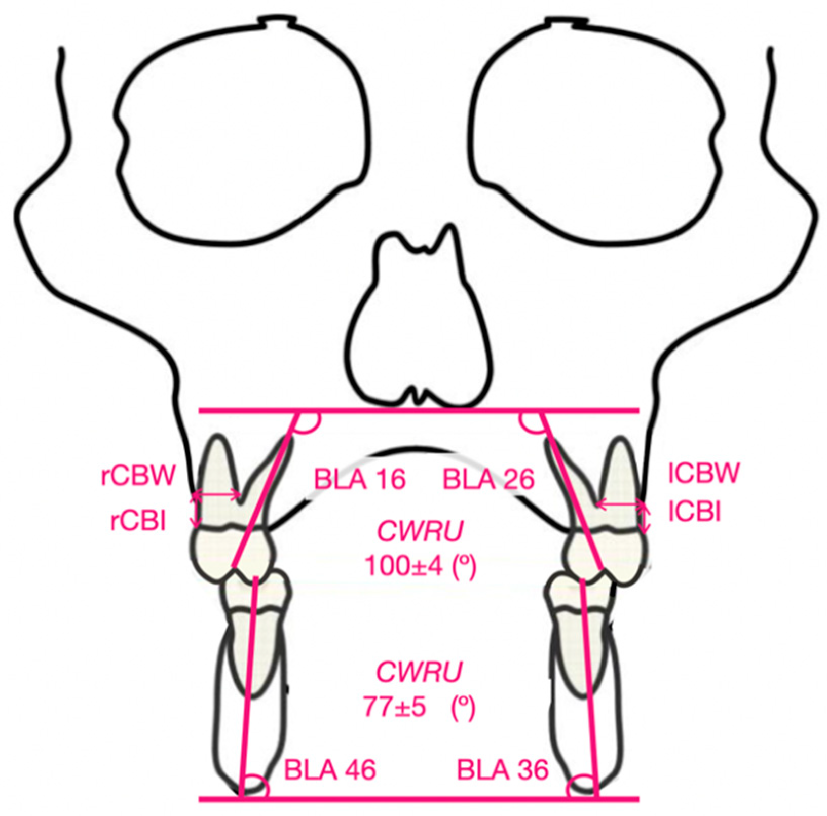 Biomedicines 11 02380 g003