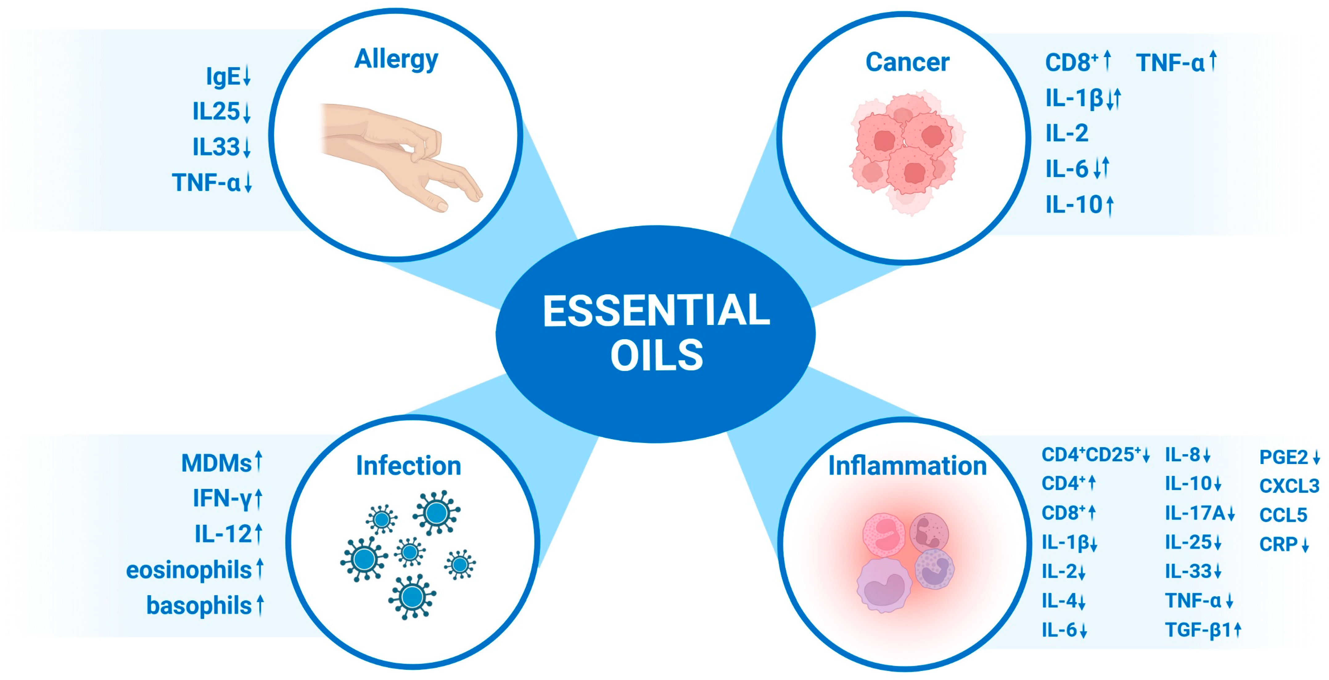 130 Essential Oils: Essential Oil Uses and Benefits