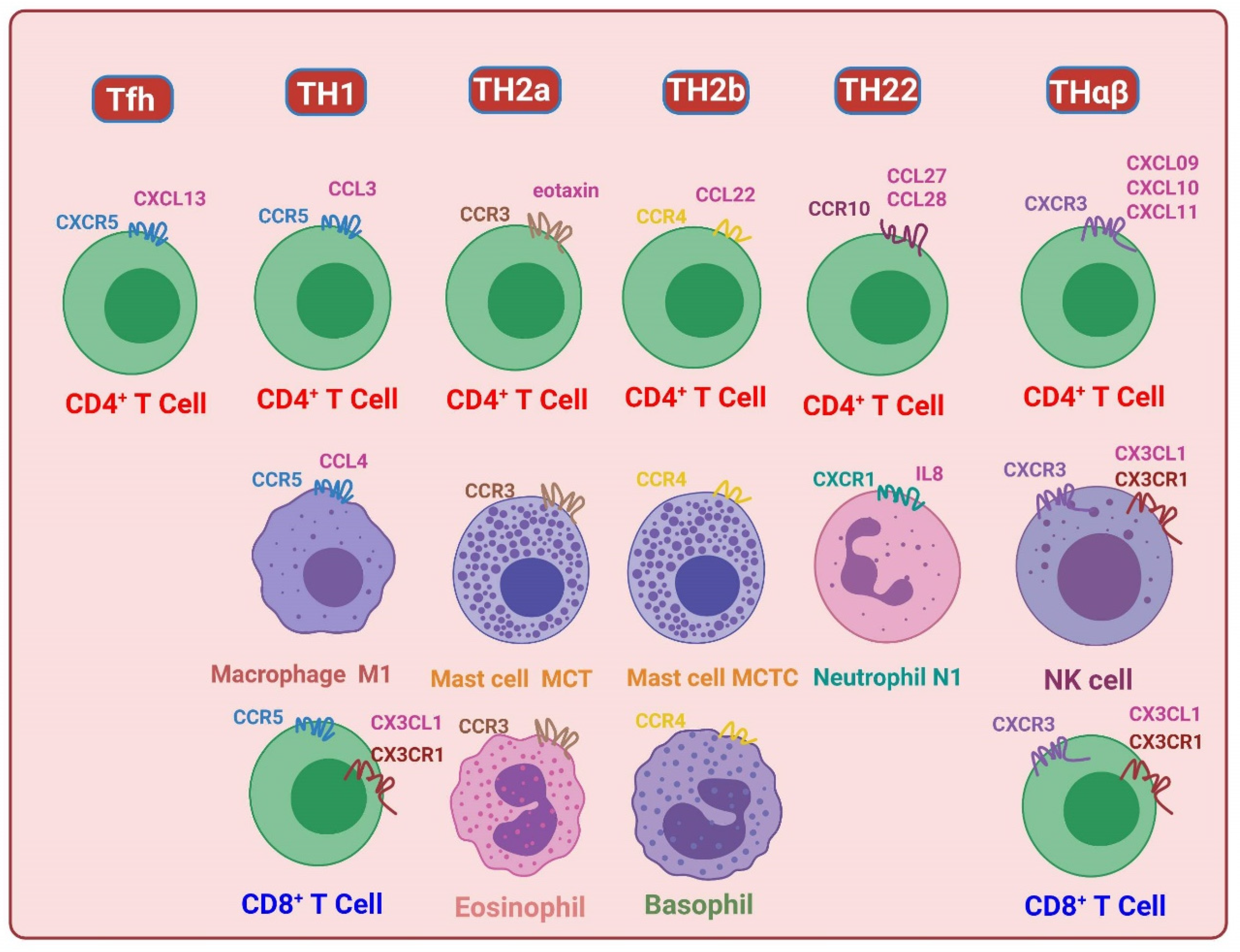 Biomedicines 11 02384 g003 Biomedicines 11 02384 g003