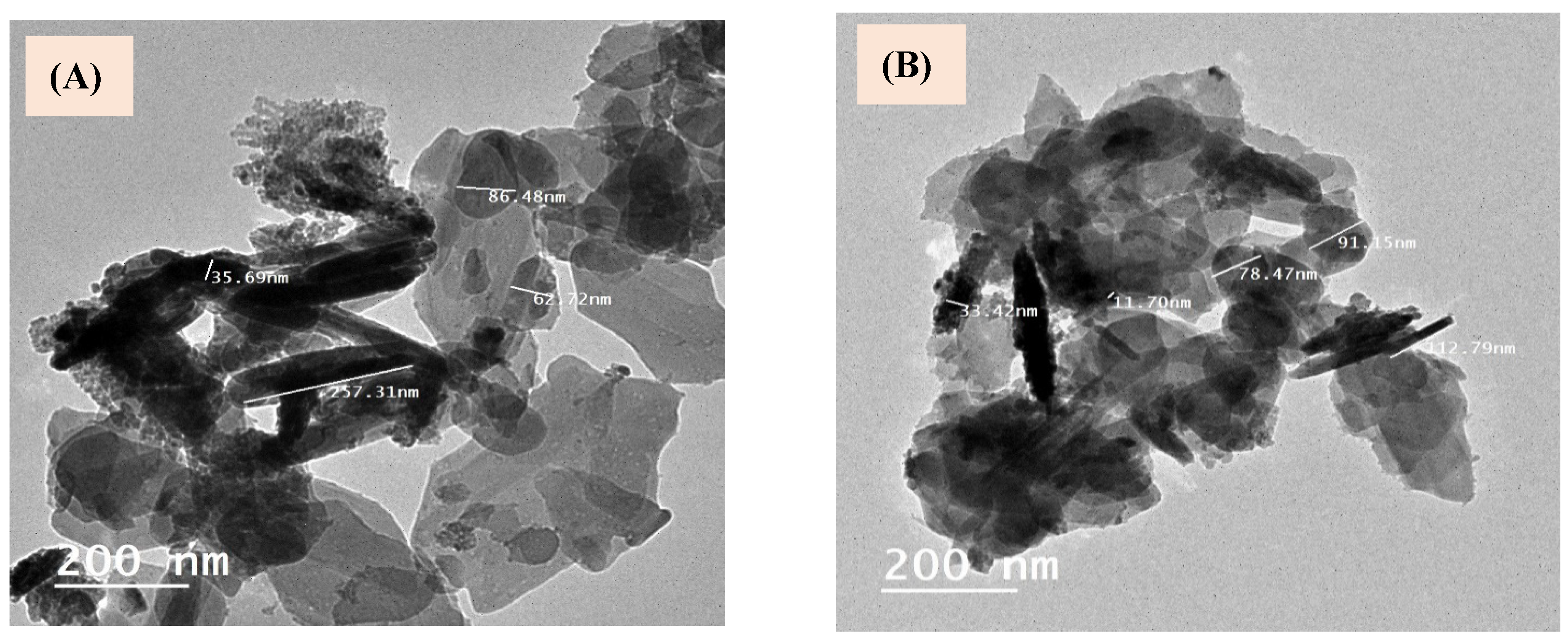 Biomedicines 11 02386 g003