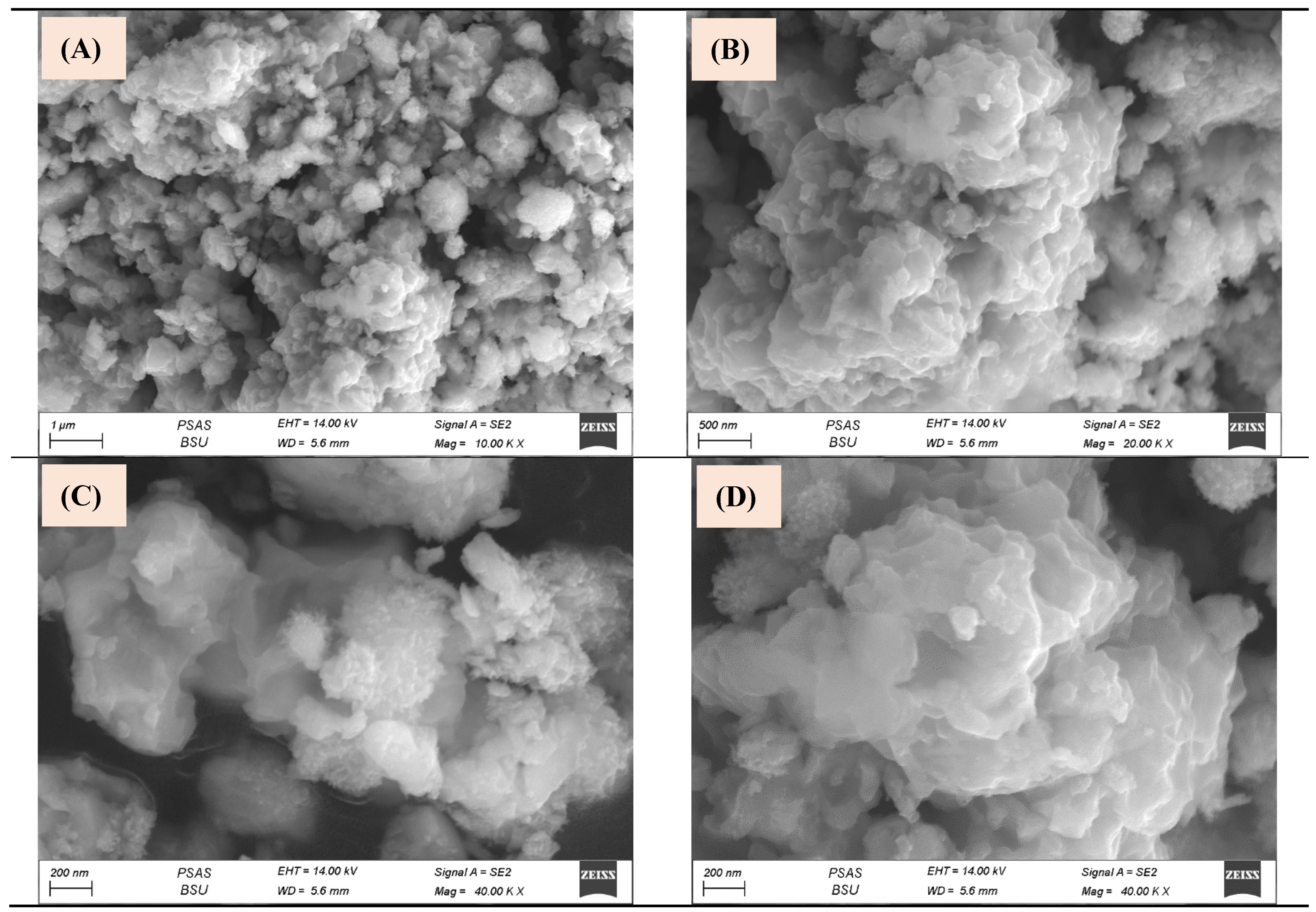 Biomedicines 11 02386 g004