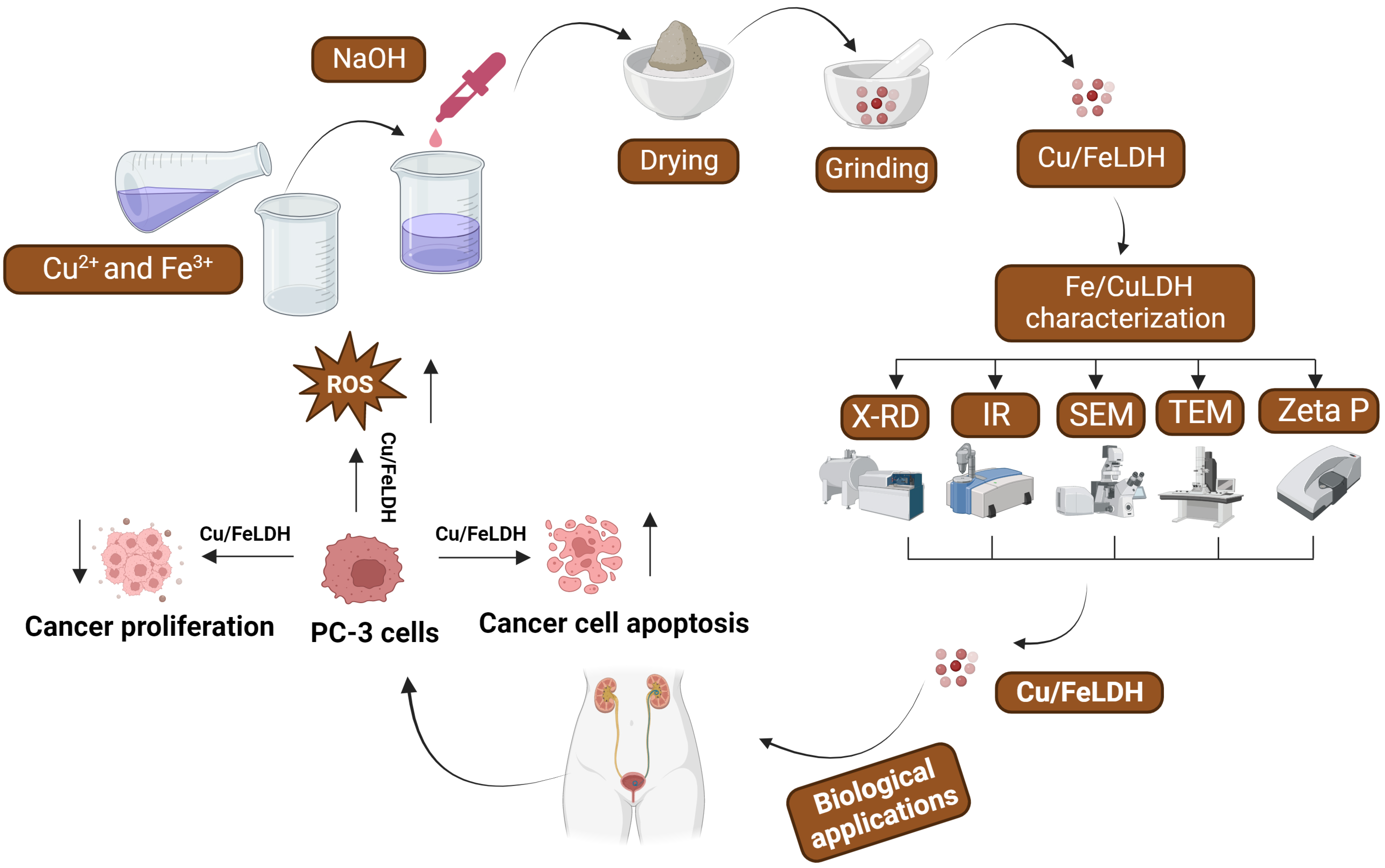 Biomedicines 11 02386 g010