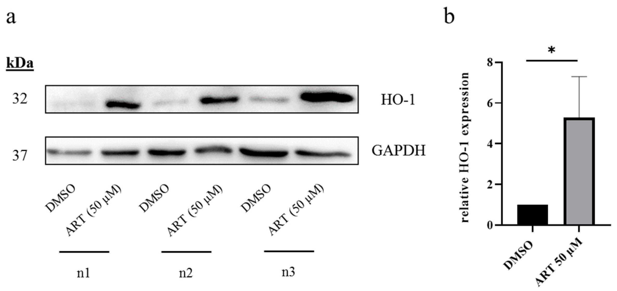 Biomedicines 11 02393 g004