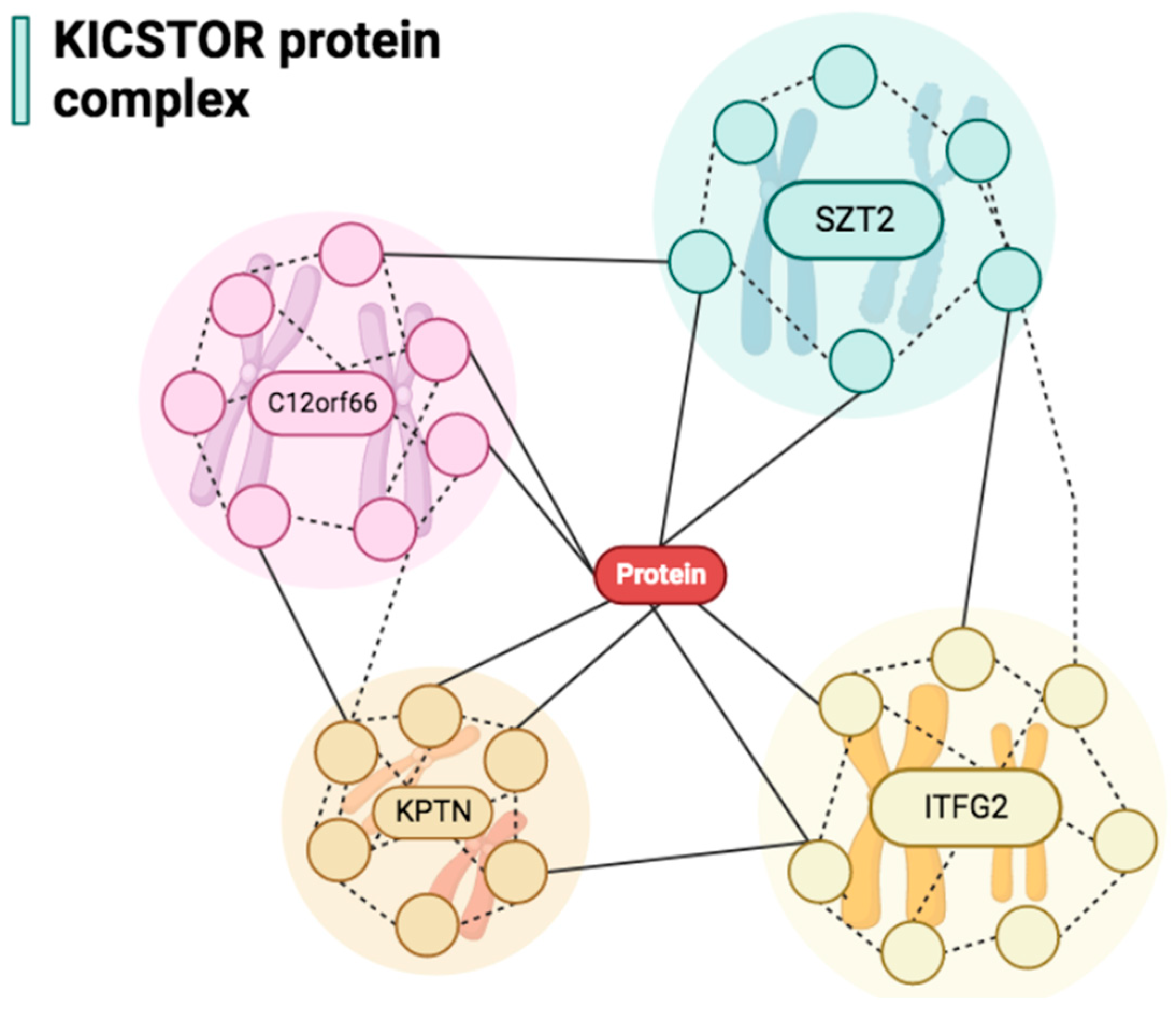 Biomedicines 11 02402 g001