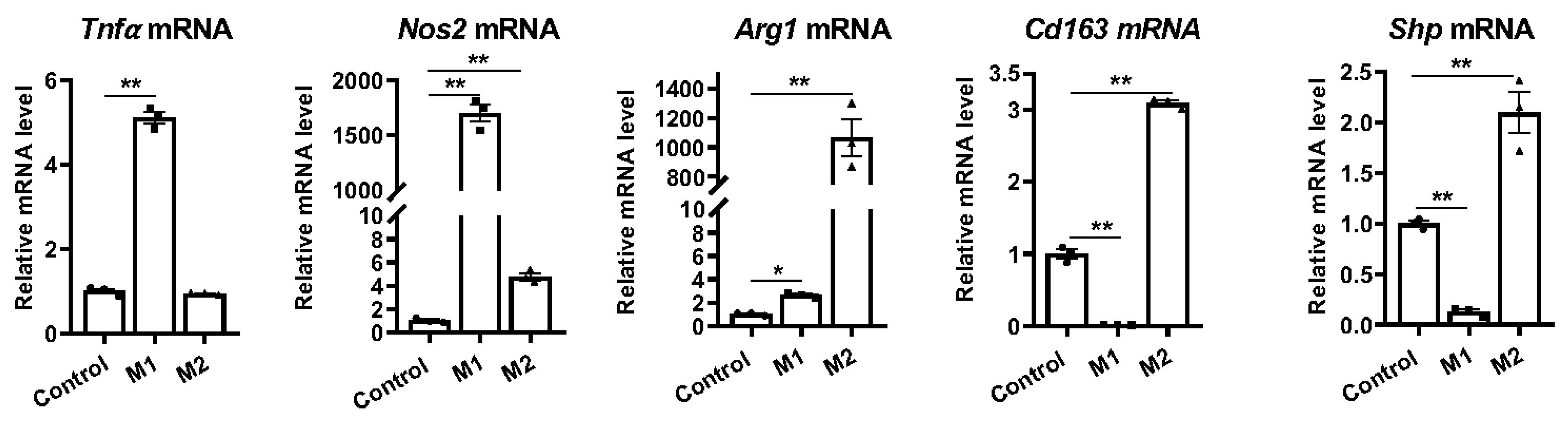 Biomedicines 11 02403 g001 Biomedicines 11 02403 g001