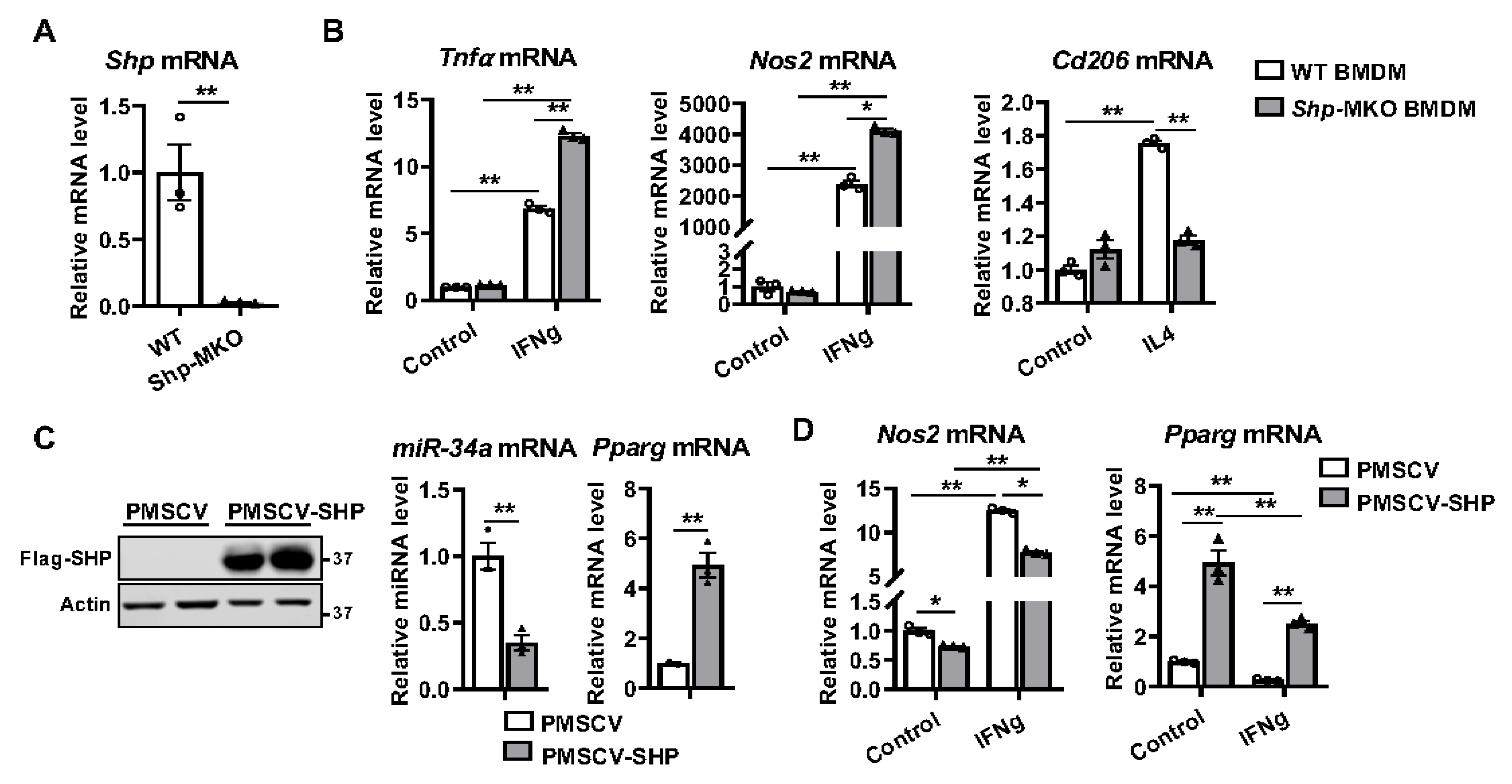 Biomedicines 11 02403 g002 Biomedicines 11 02403 g002