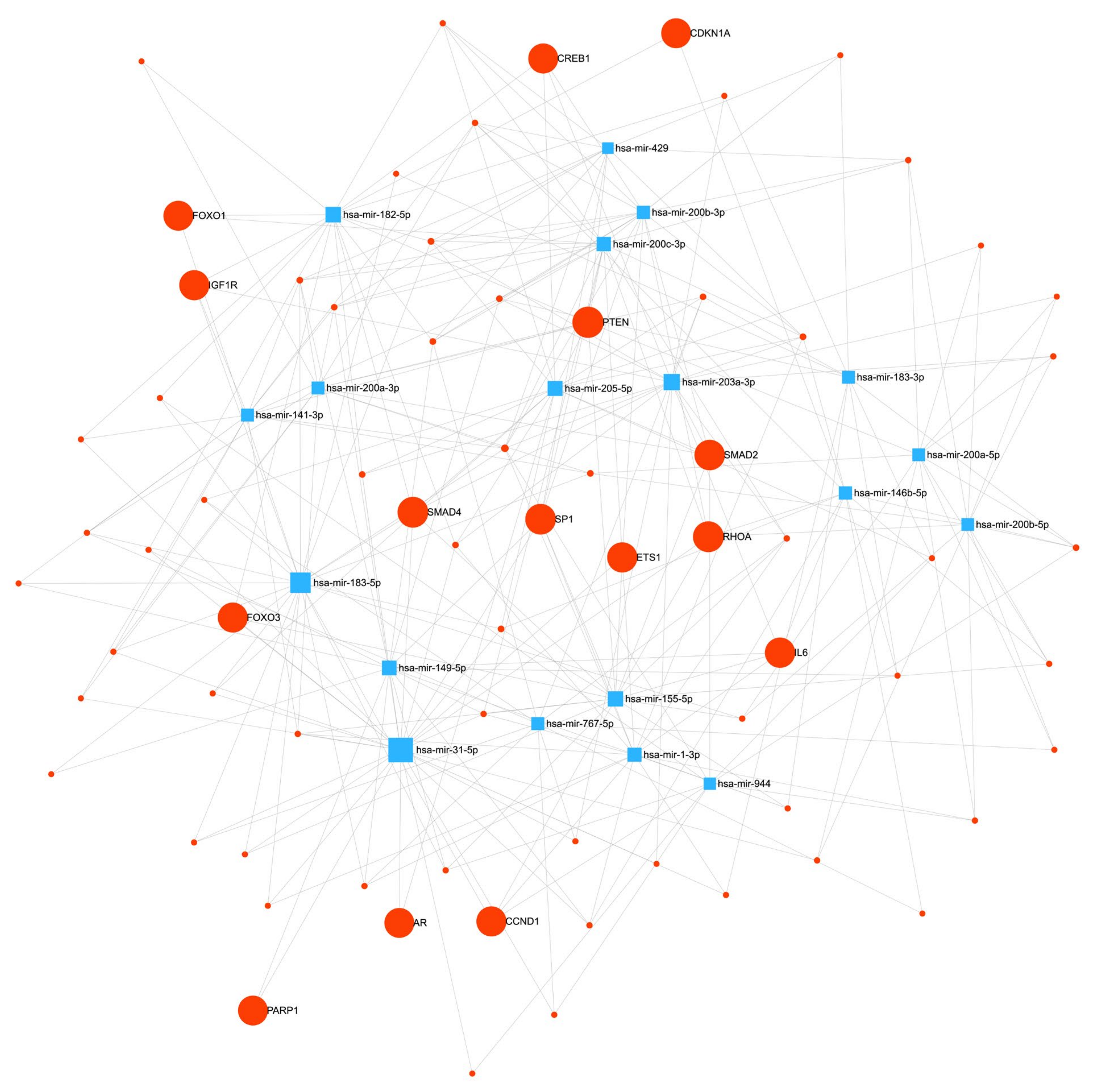 Biomedicines 11 02407 g004