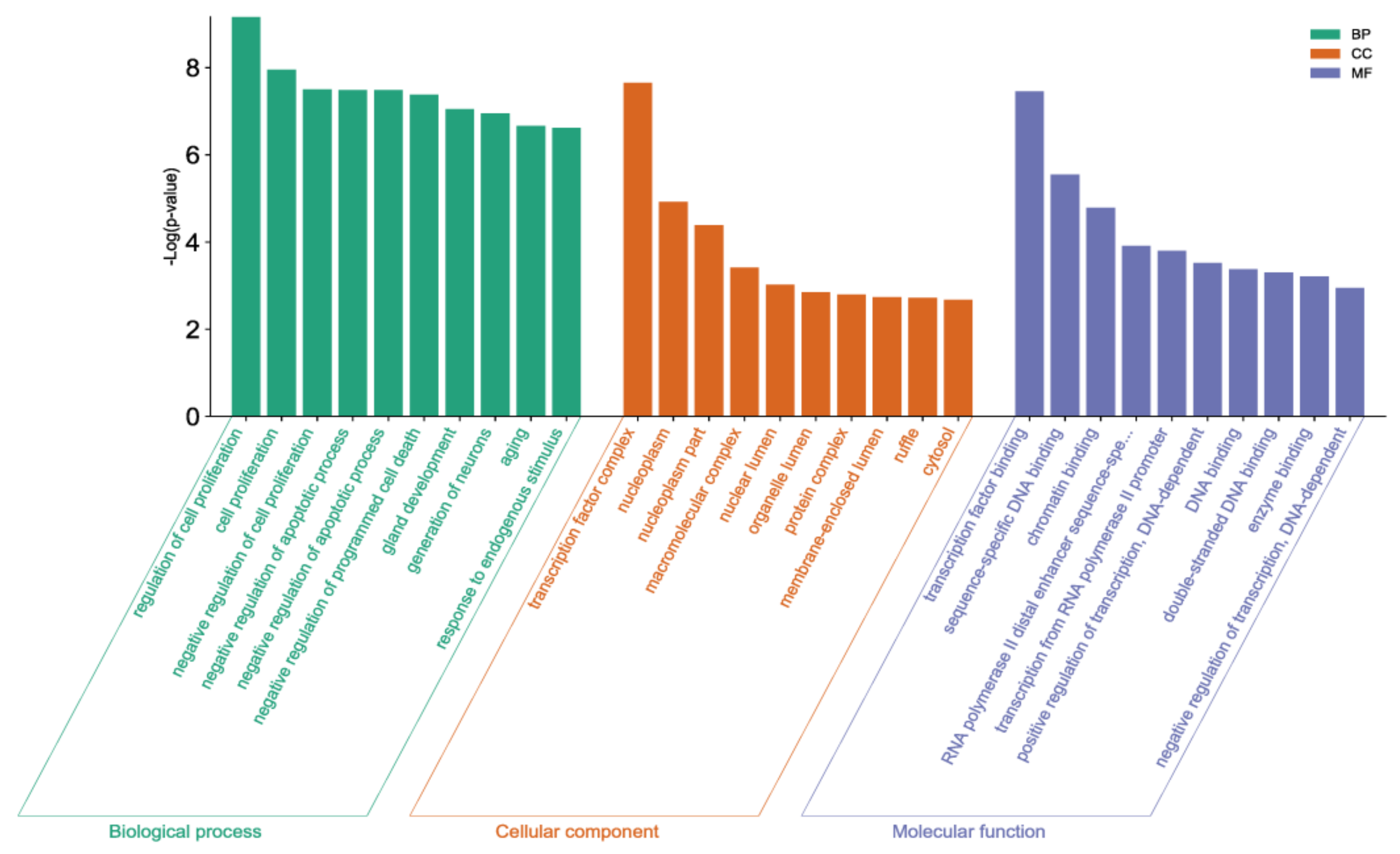 Biomedicines 11 02407 g005