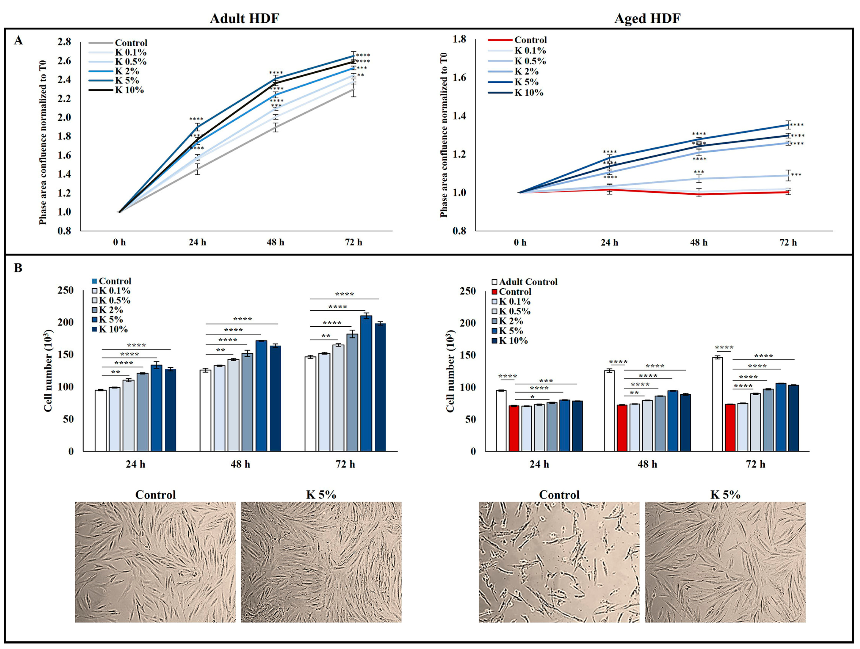 Biomedicines 11 02410 g001