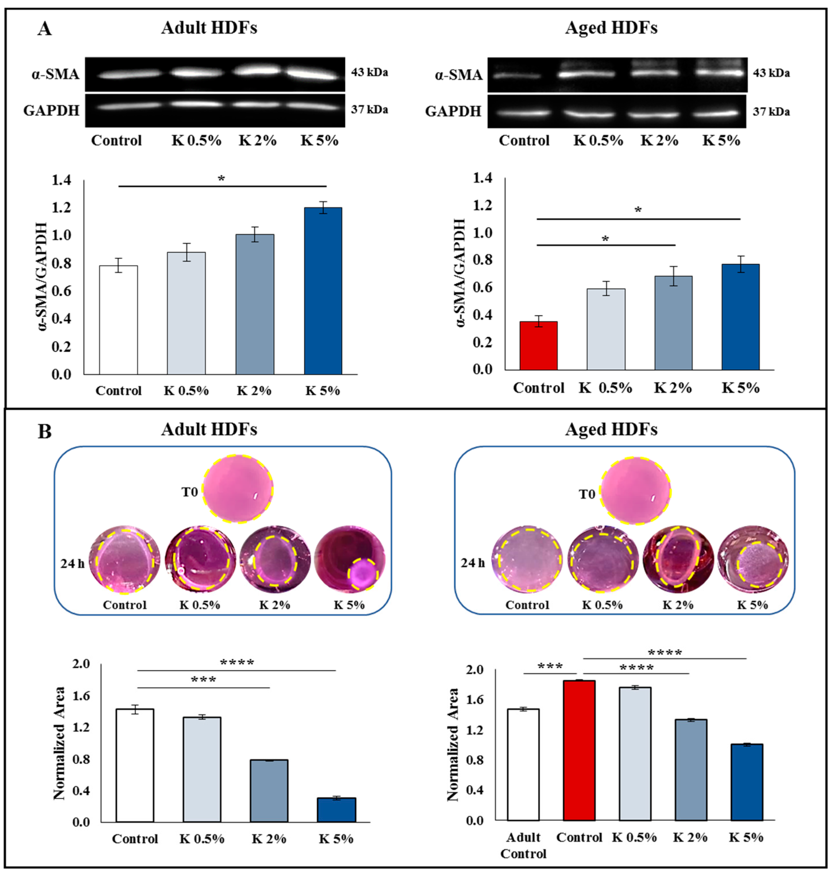 Biomedicines 11 02410 g004