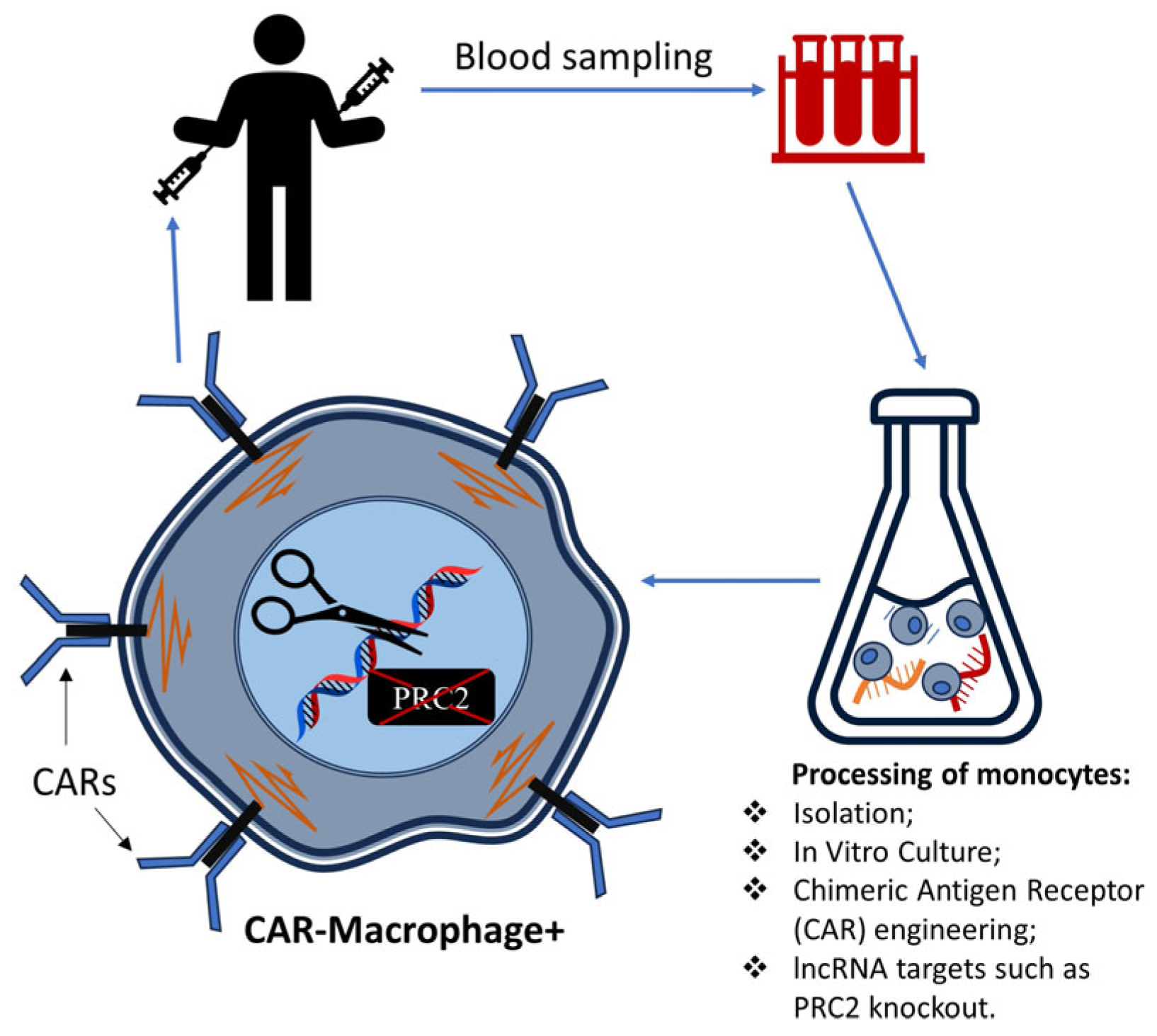Biomedicines 11 02411 g004