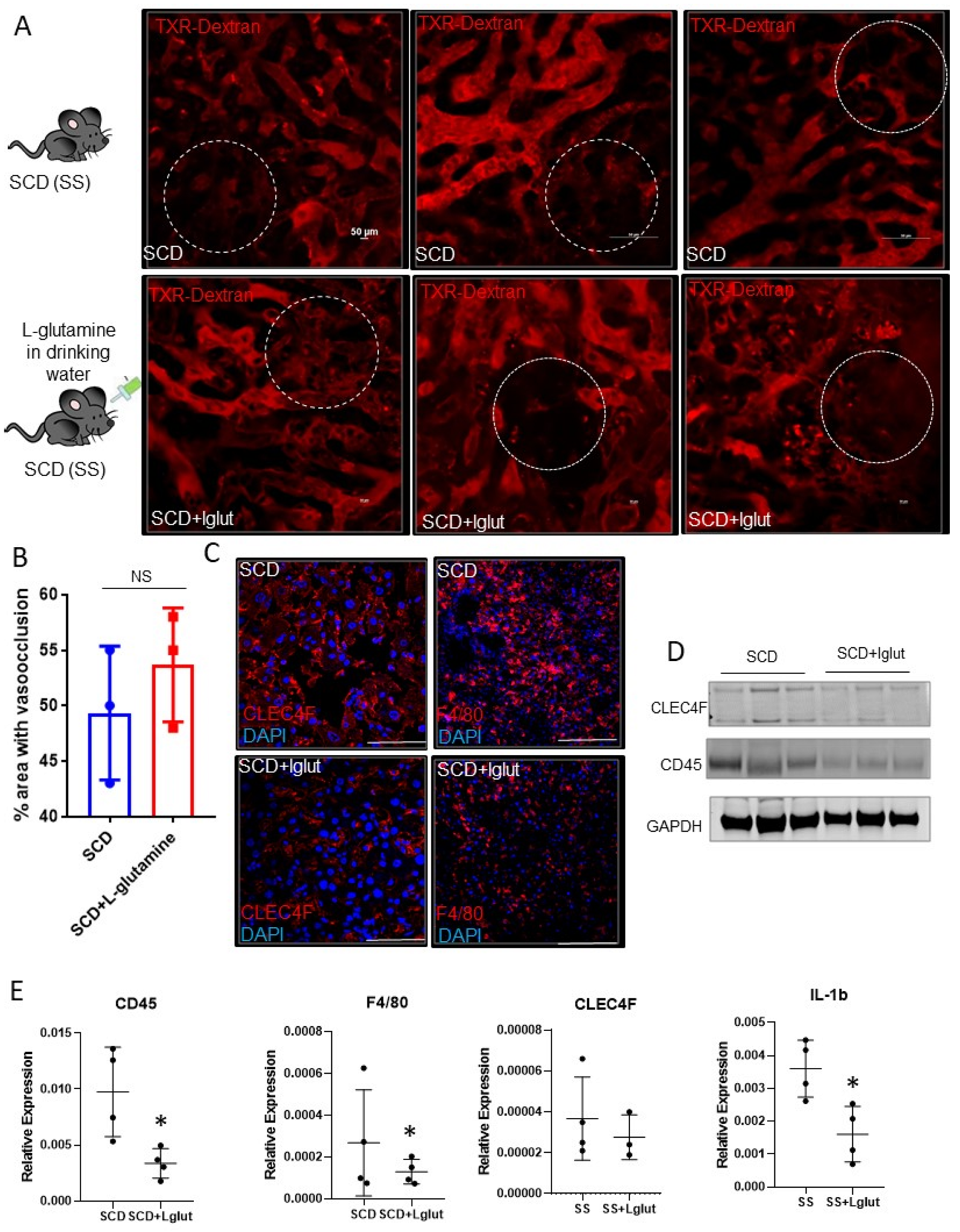 Biomedicines 11 02412 g001