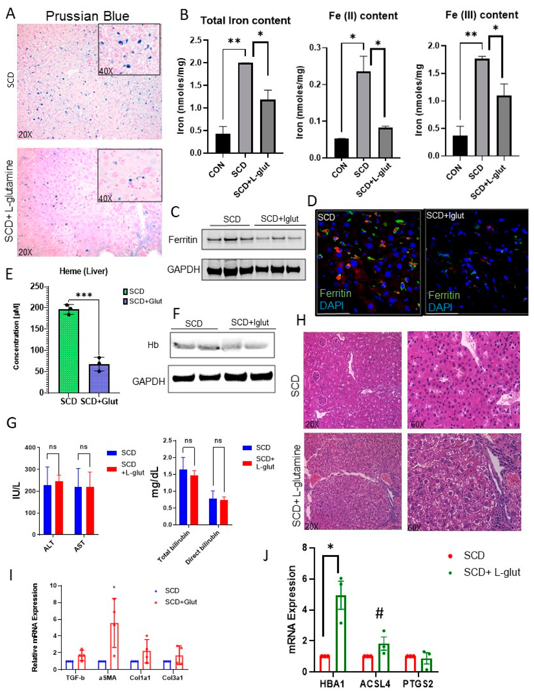 Biomedicines 11 02412 g002