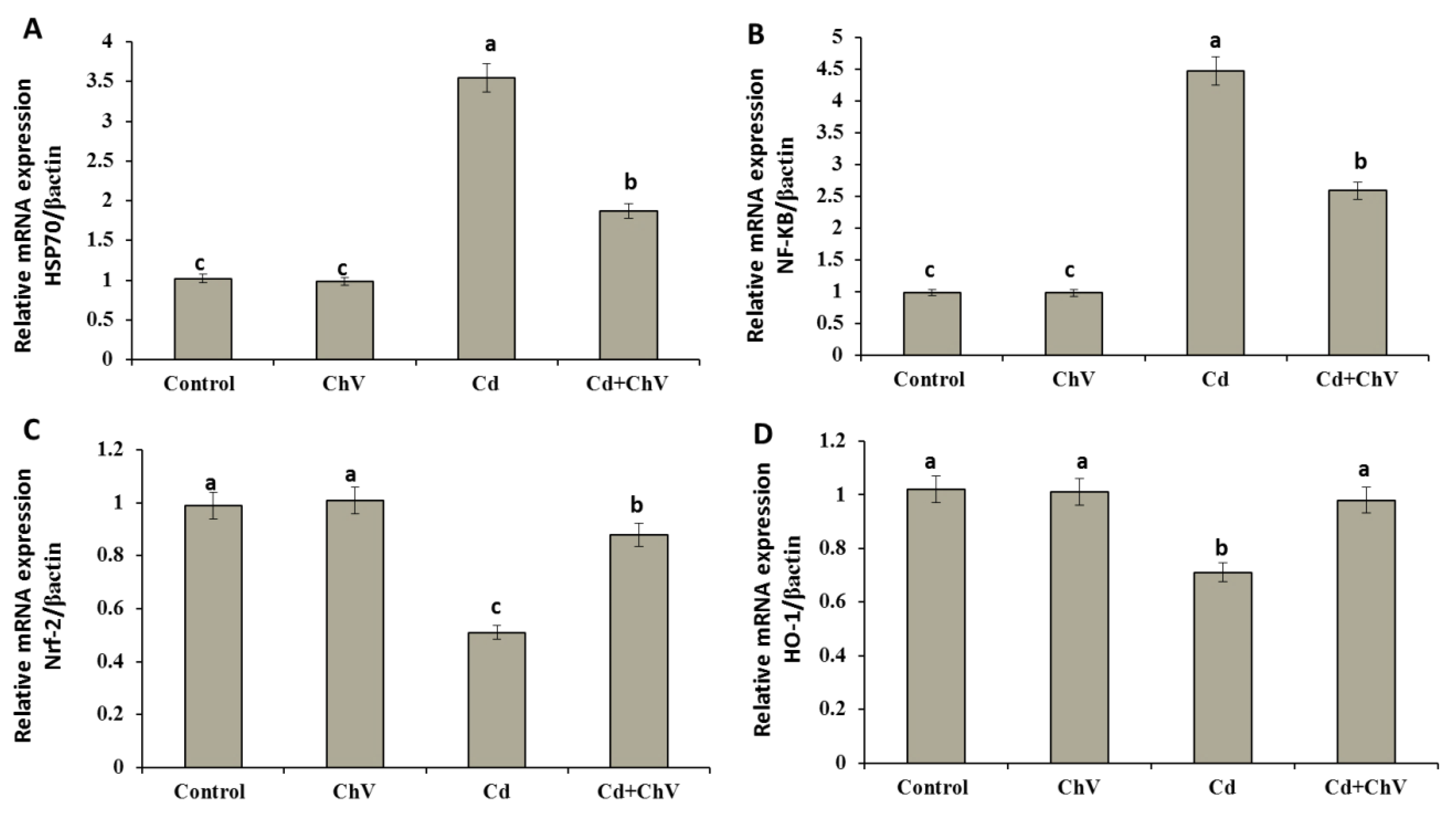 Biomedicines 11 02414 g002