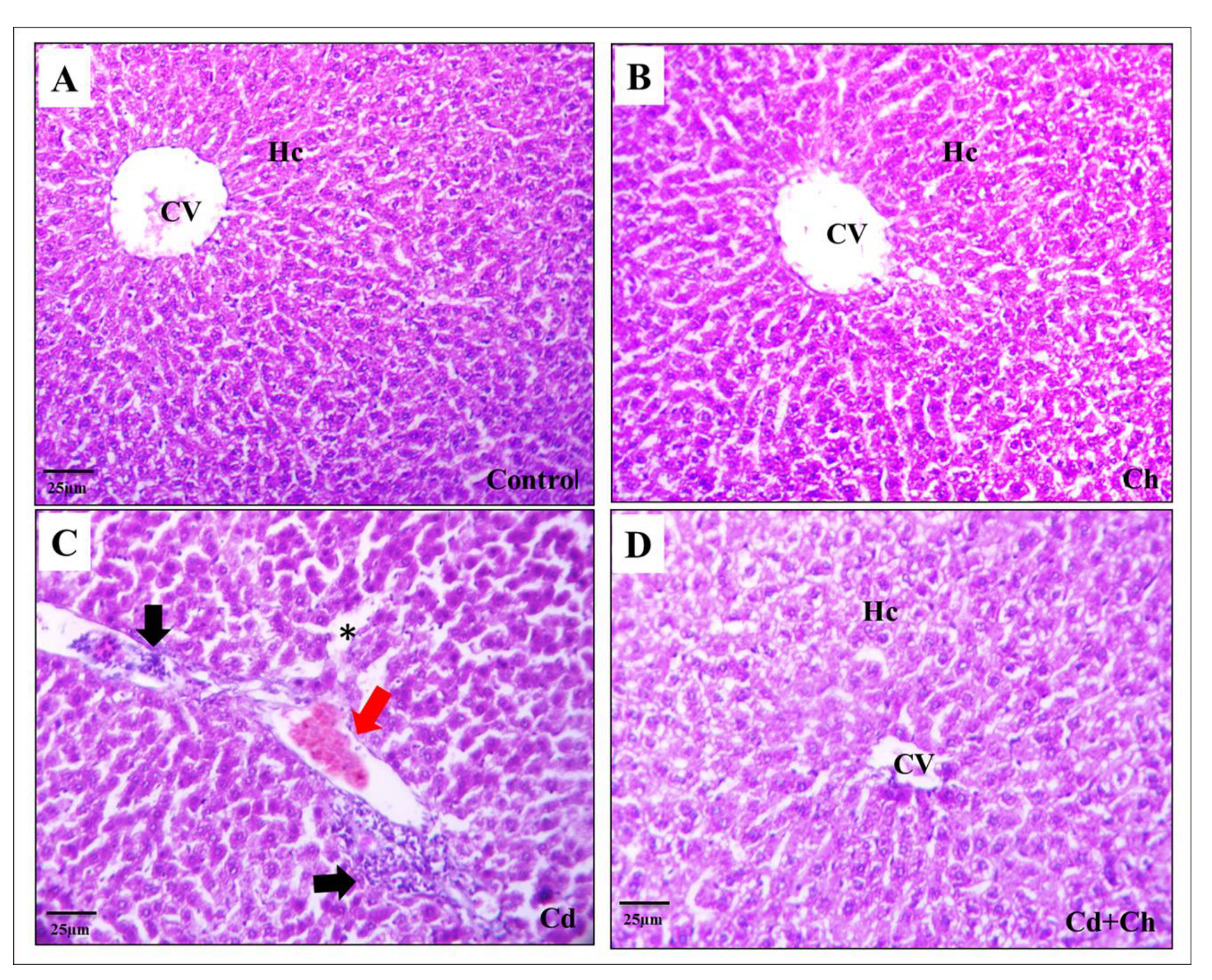 Biomedicines 11 02414 g003