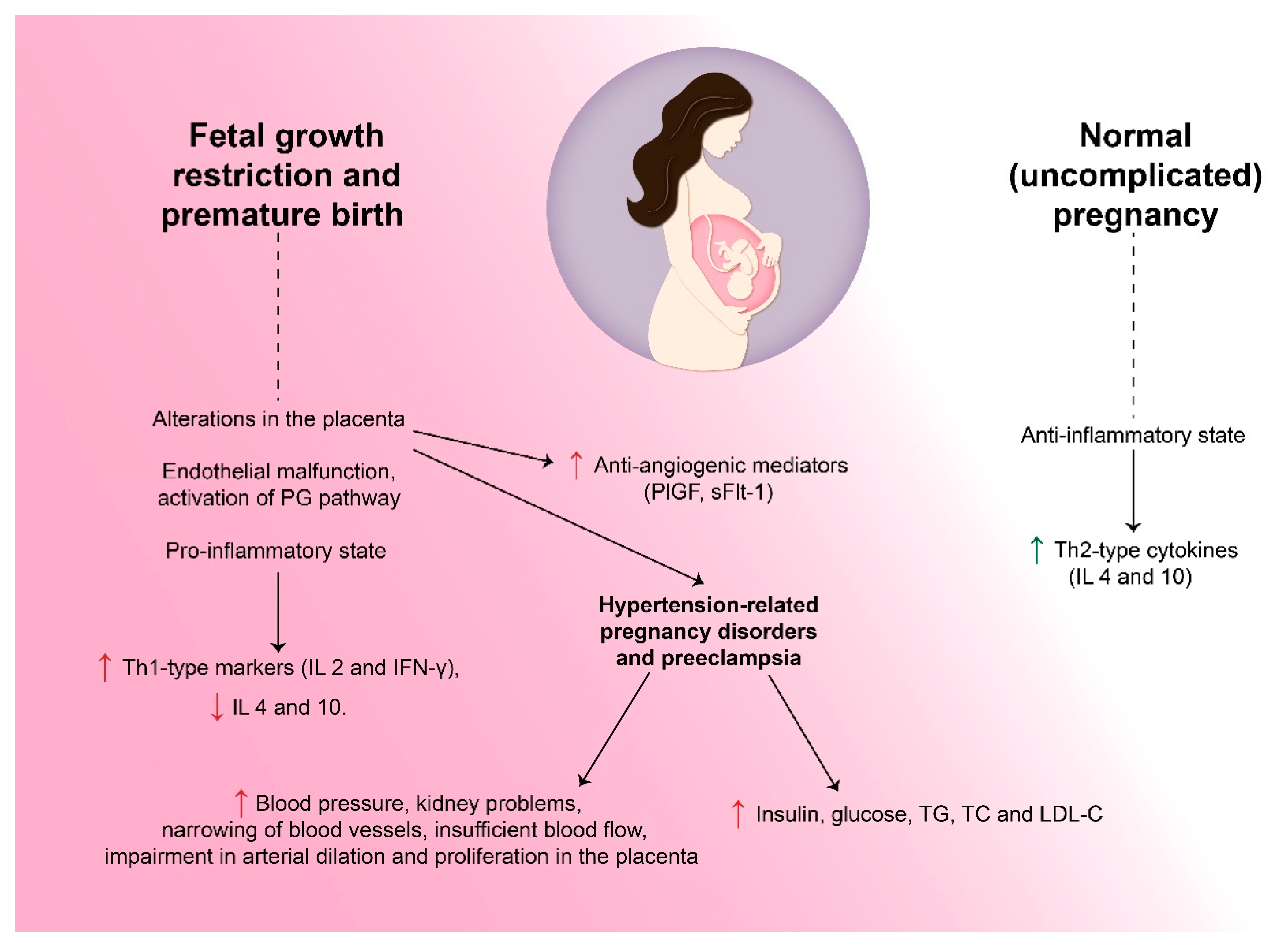 Biomedicines 11 02430 g001 Biomedicines 11 02430 g001