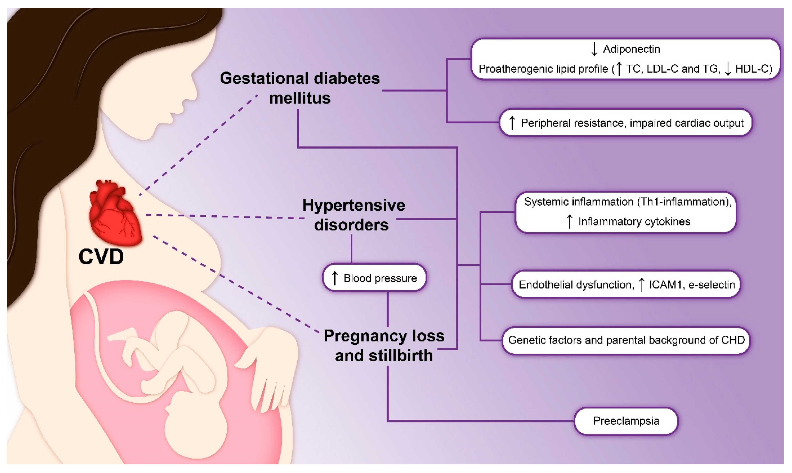 Biomedicines 11 02430 g002 Biomedicines 11 02430 g002